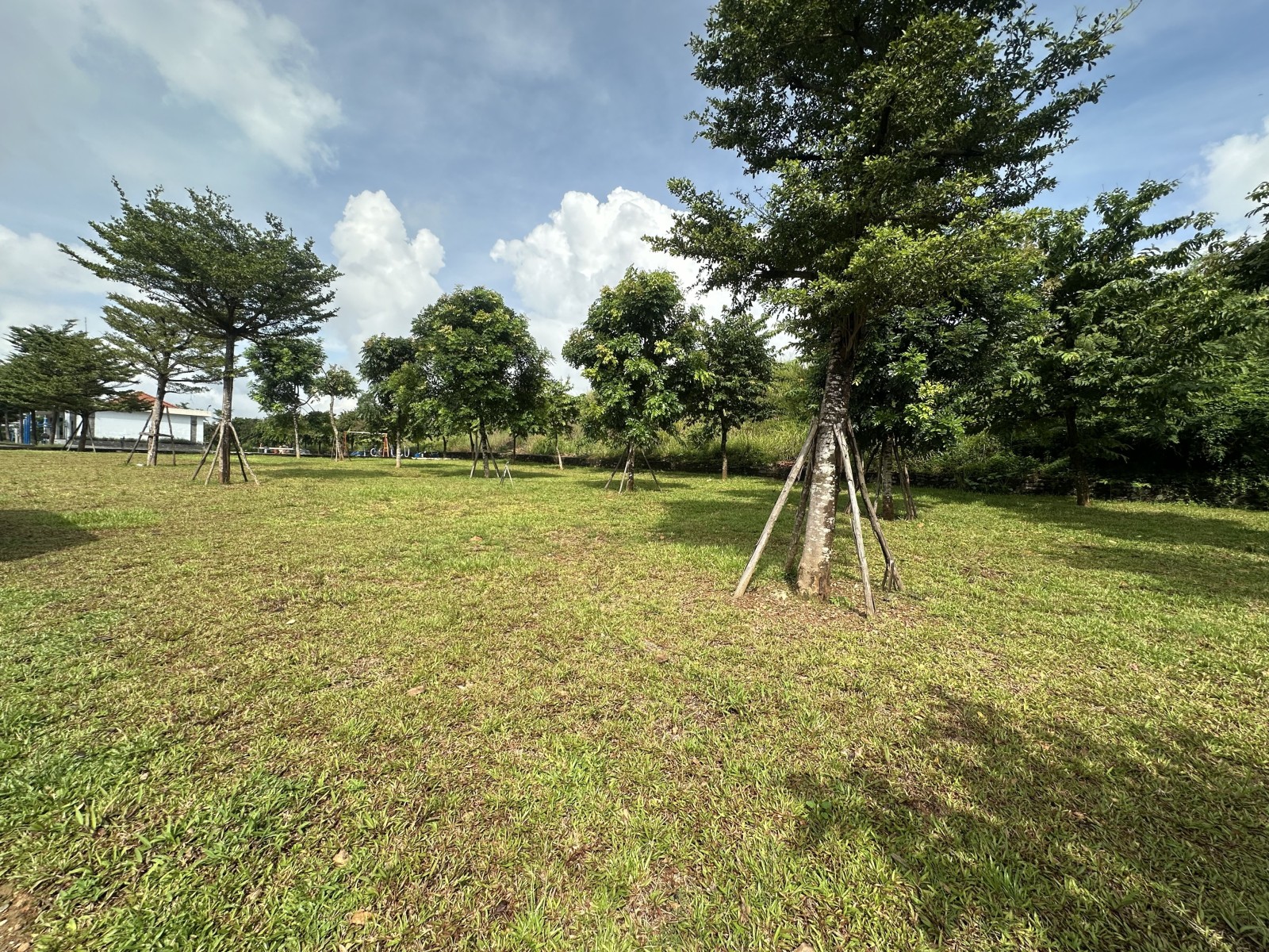 0ea6fc1c43f8323df526a0d2c11c34d7