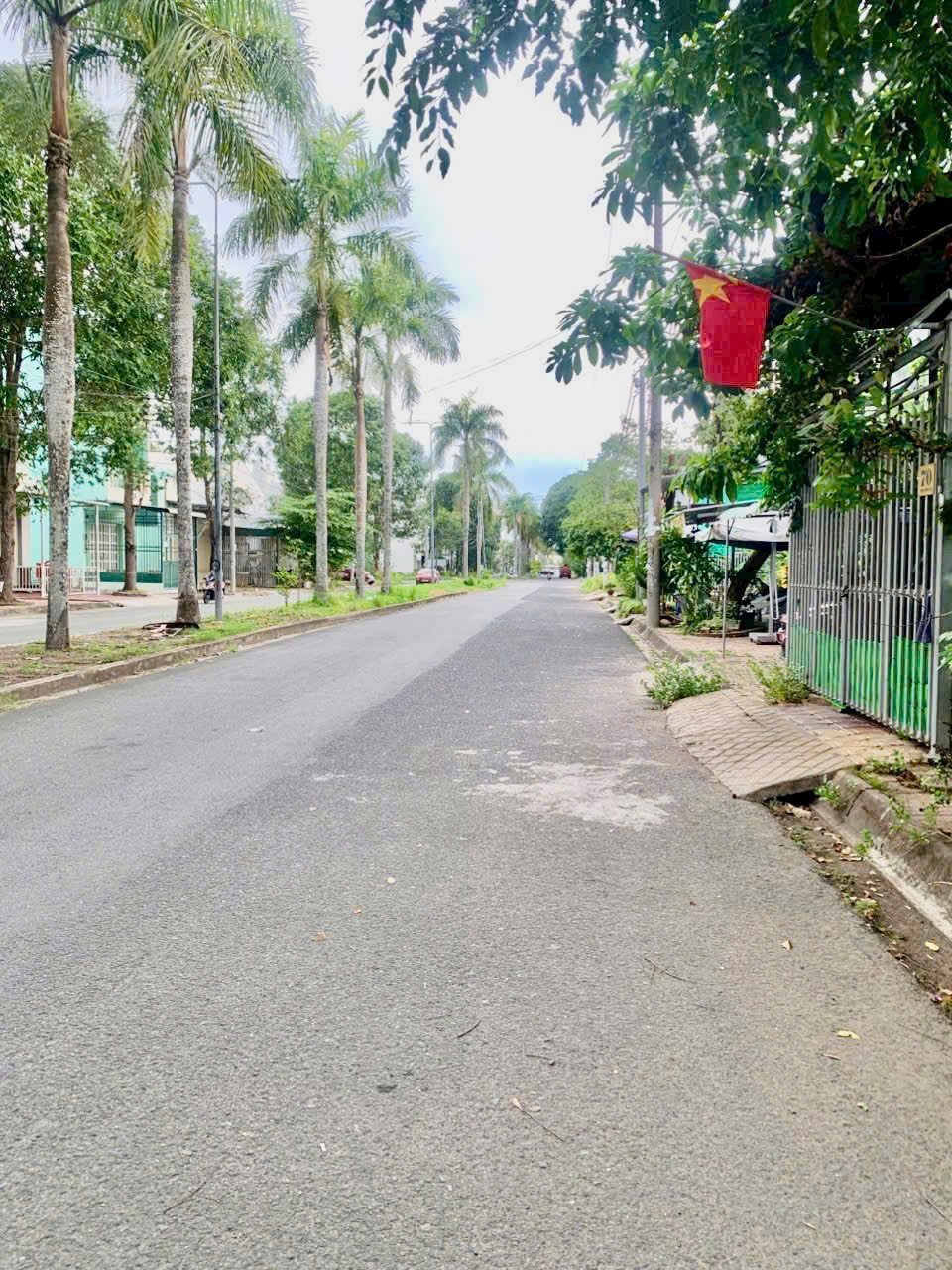 10210684498419649659