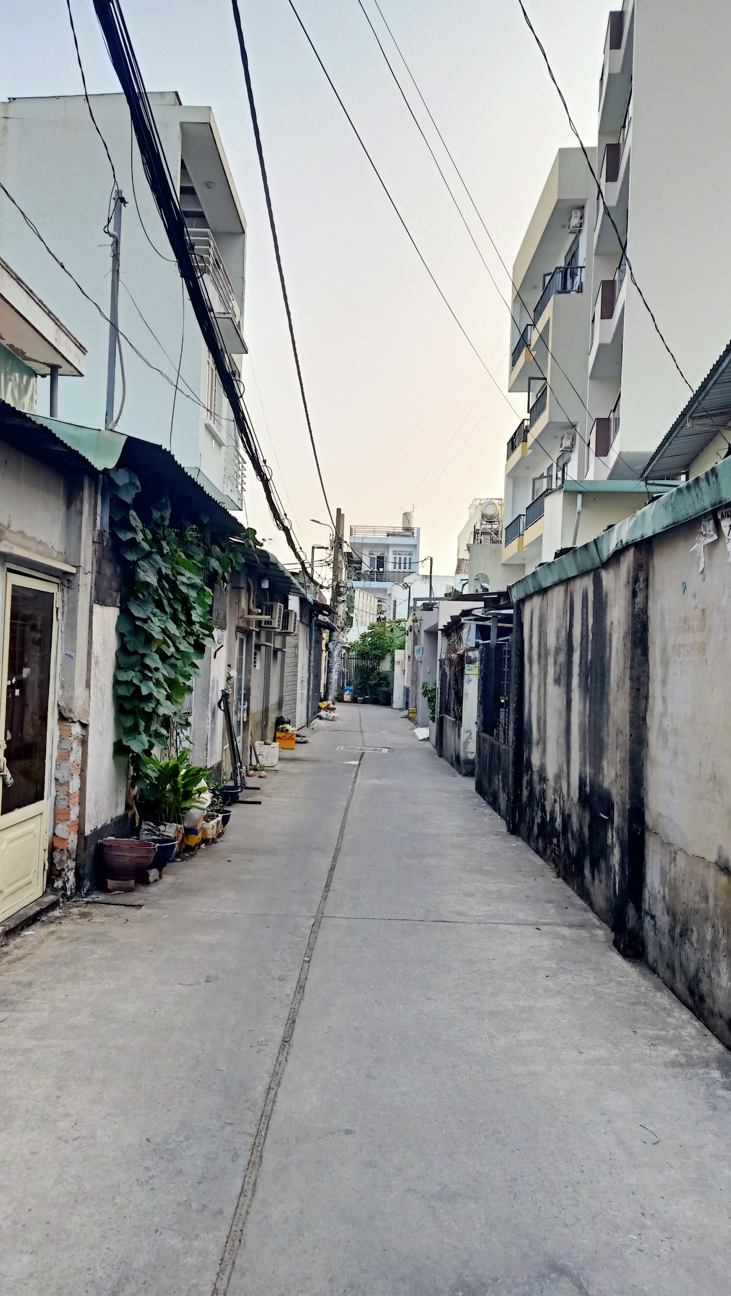 (13).jpg_bak_638960552652543225.jpg_bak_638981799185535960