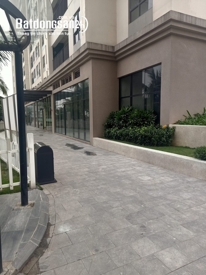 132898031697960183-273840331-3222387851324579-2706490245183637877-n