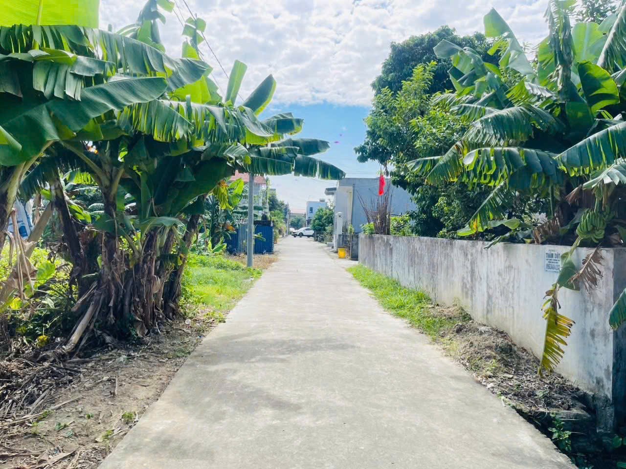 140068224121411265712