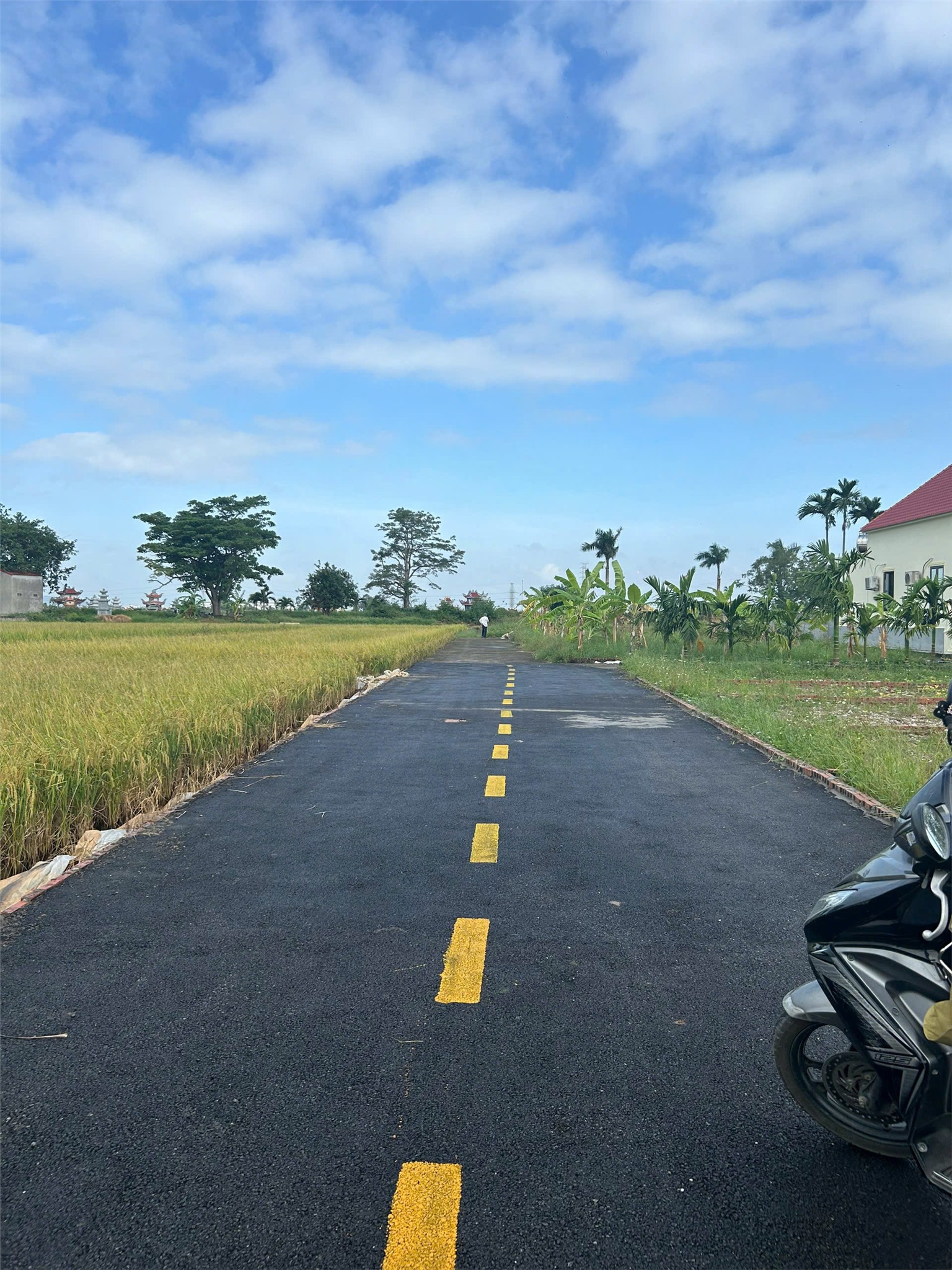 173178110198151843940