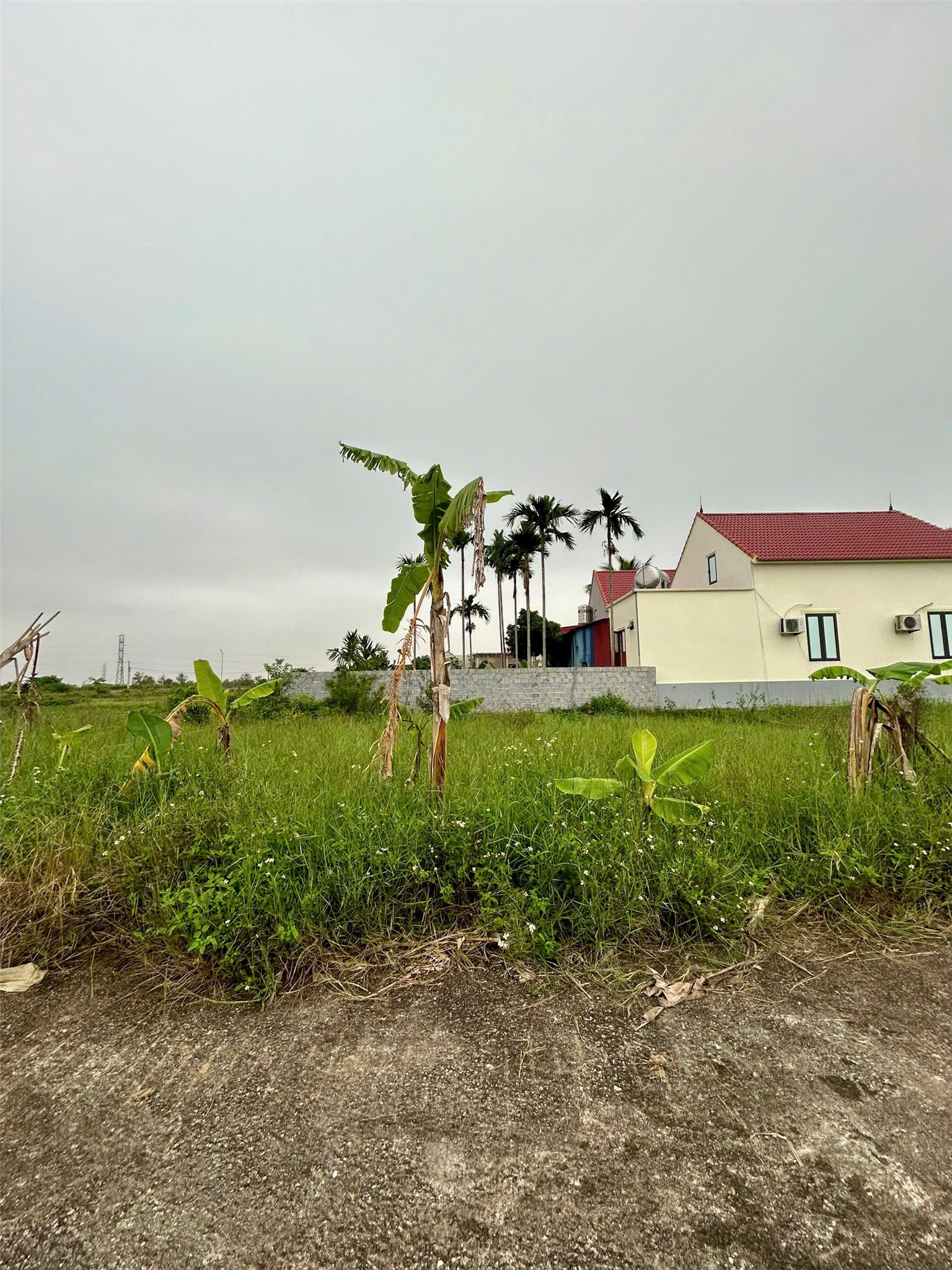 173178110198151843941