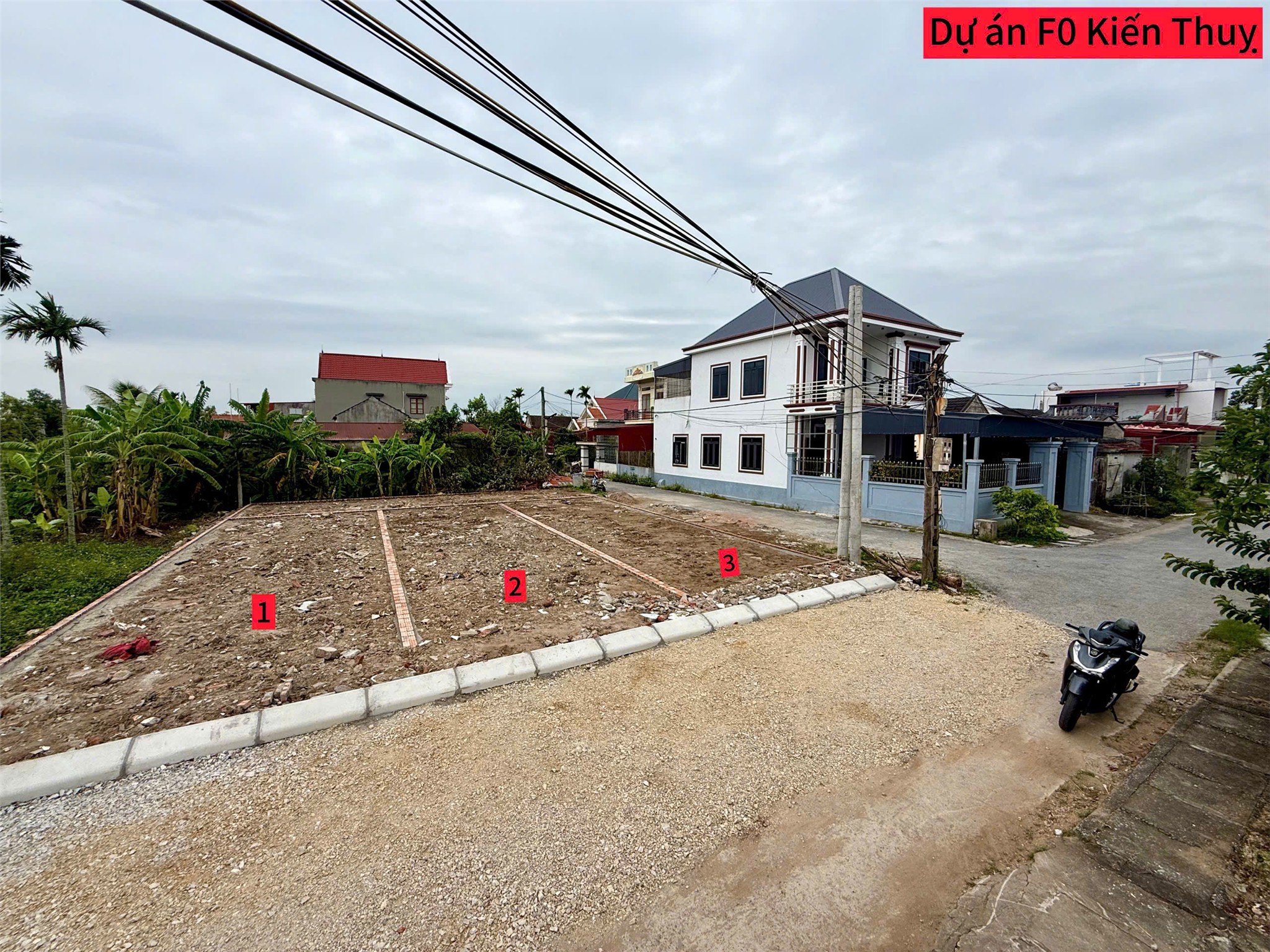 19ed333f2b7da723fe6c41