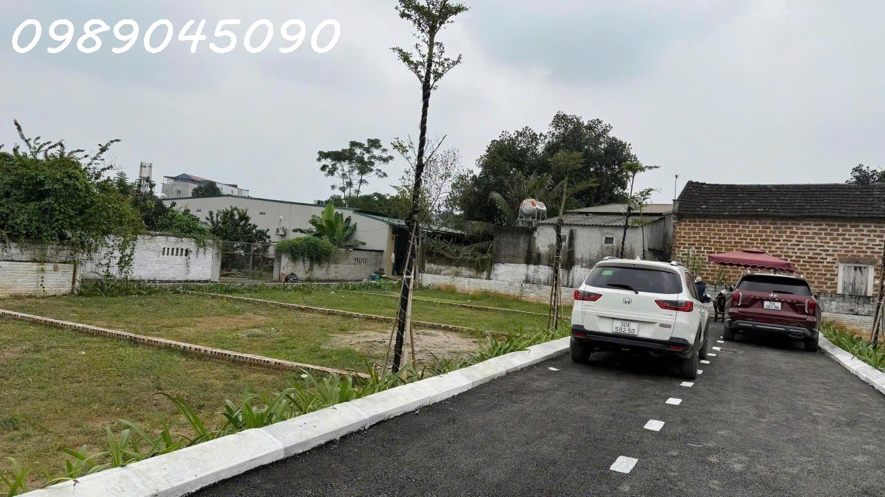 1c233c7a-3f00-46f4-b97f-b7b091f547cc