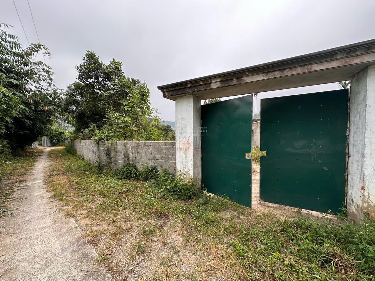 20250827163232-41c5_wm