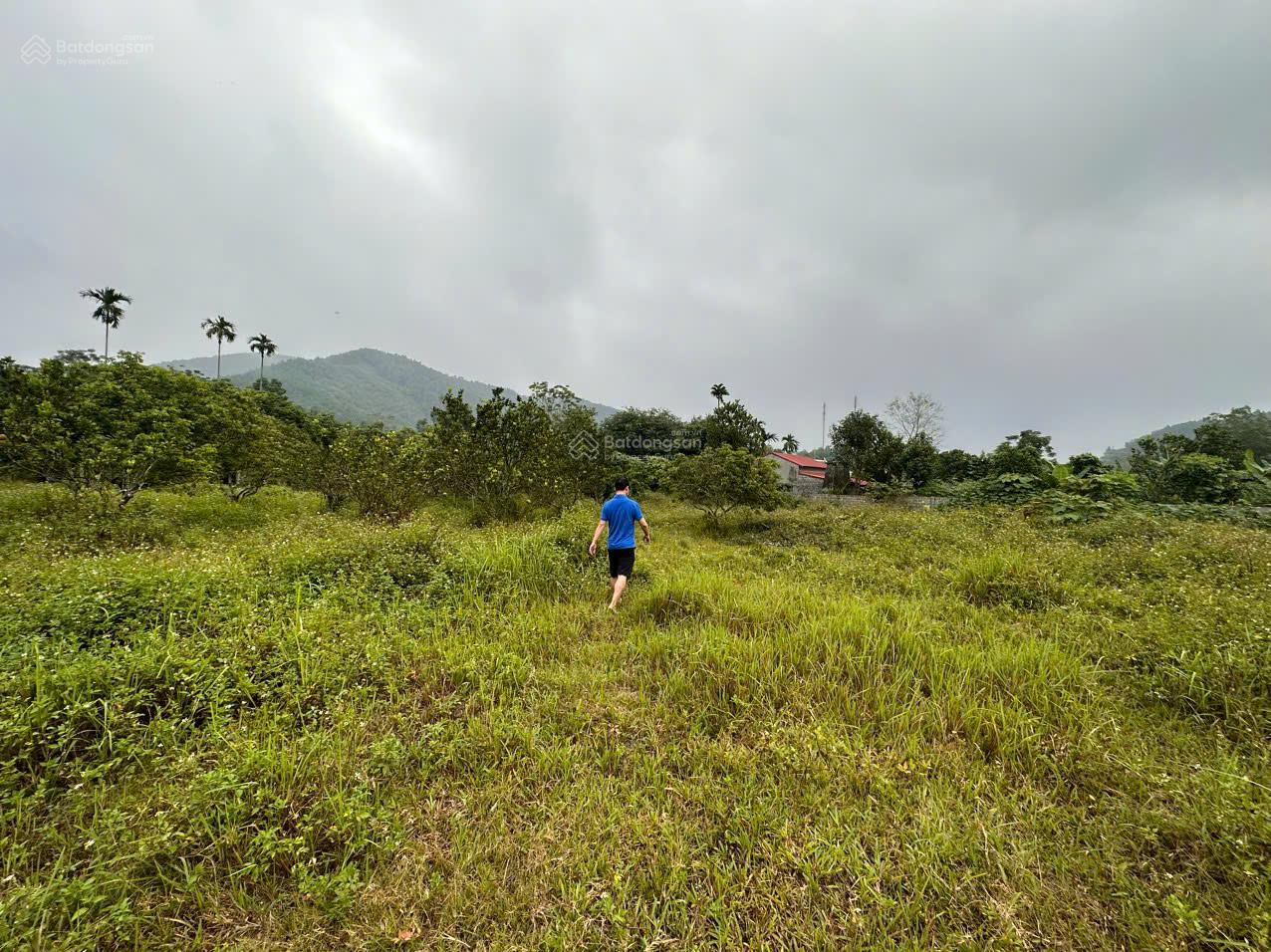 20250827163233-8030_wm