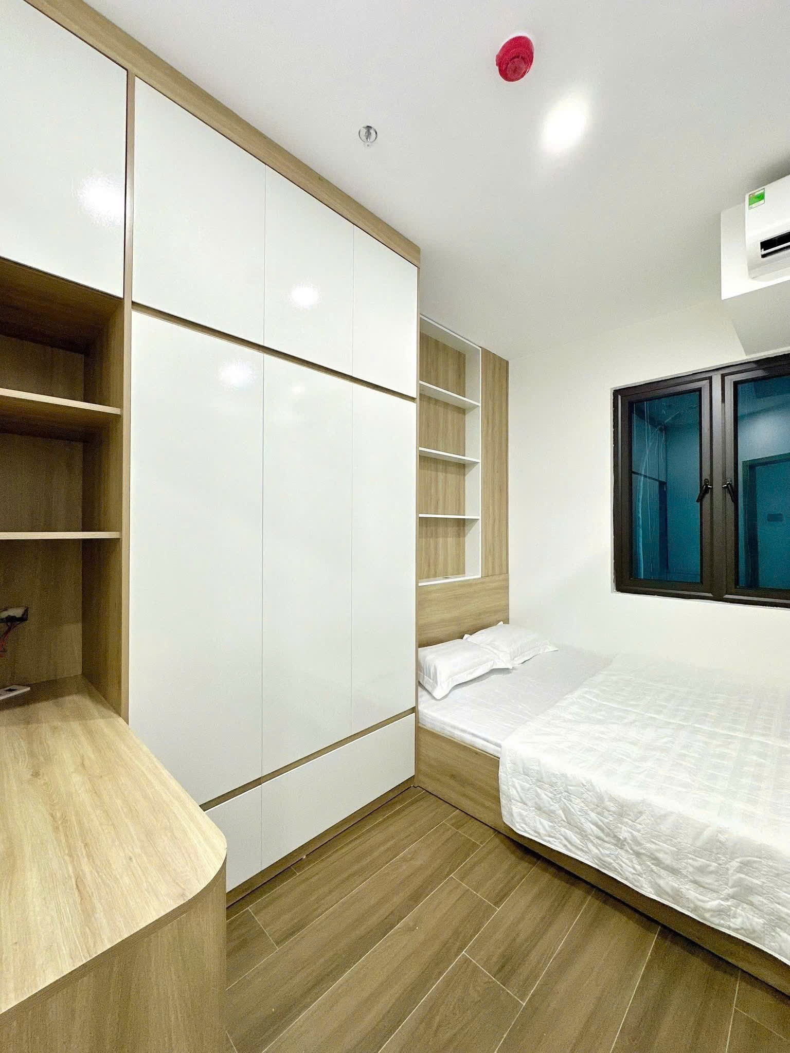 2428333687694850186 (1)