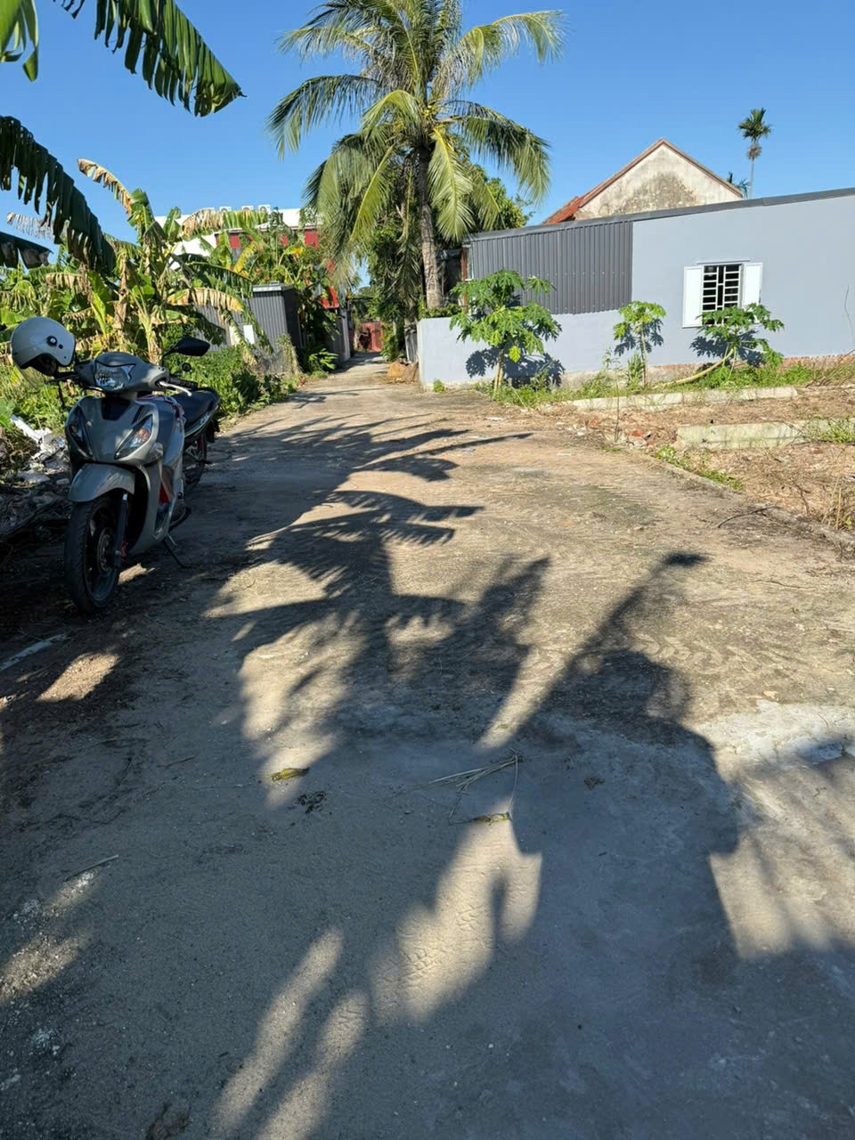 293cdf636292eeccb78365