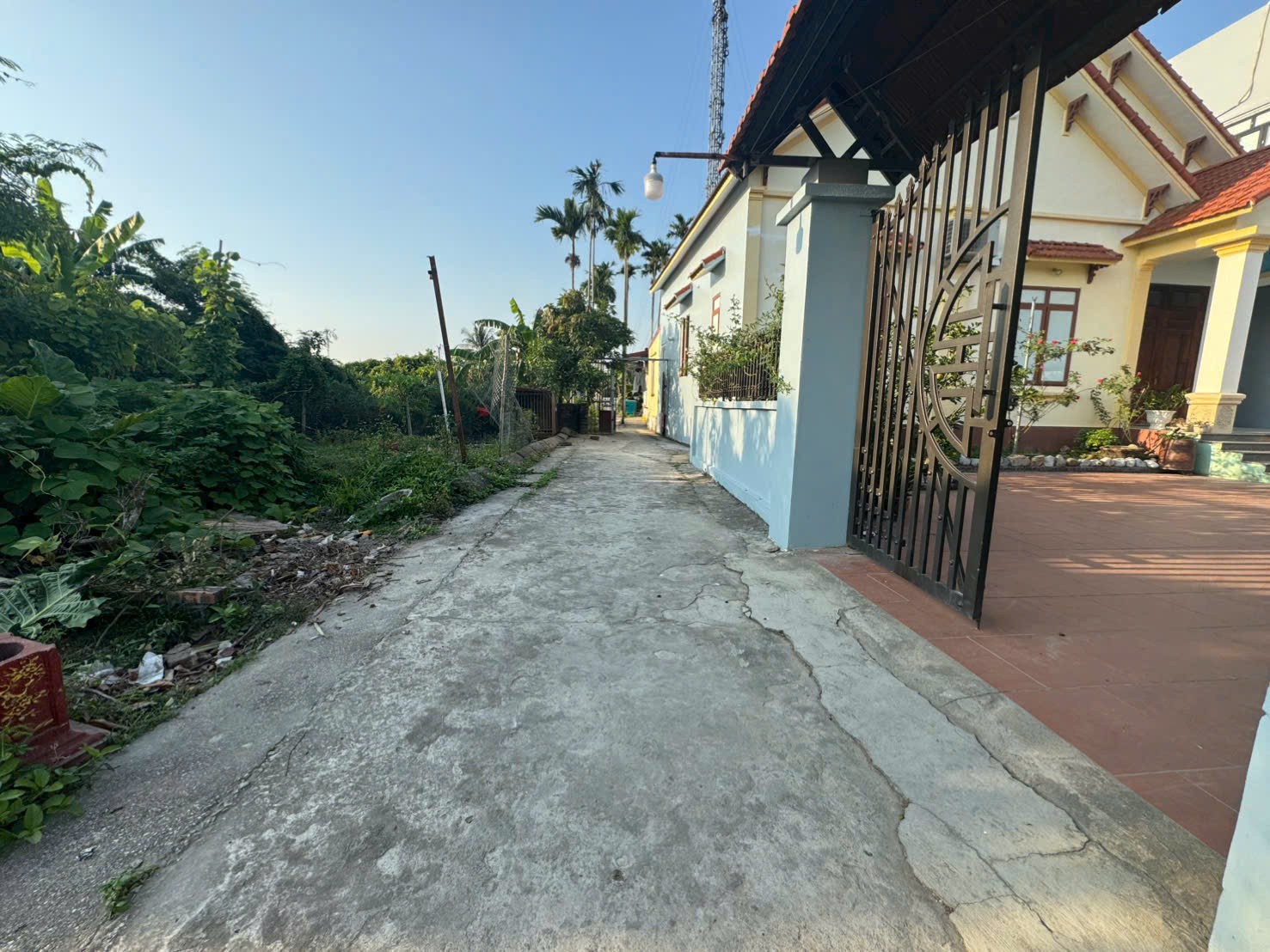 2bd8b9f967baebe4b2ab33