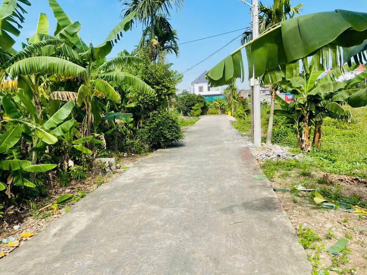 32126337733519480919