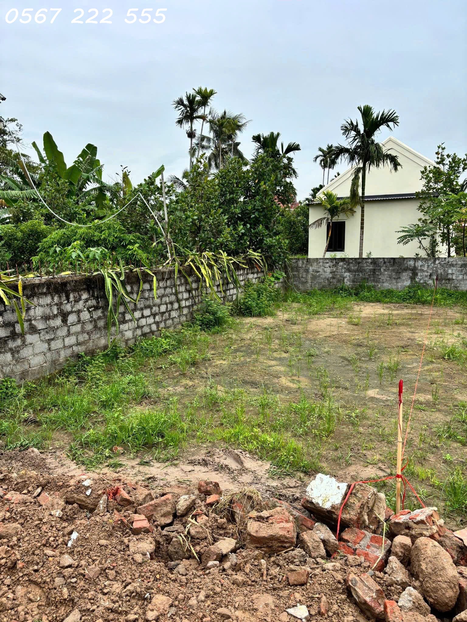 421a85a4aaa226fc7fb329