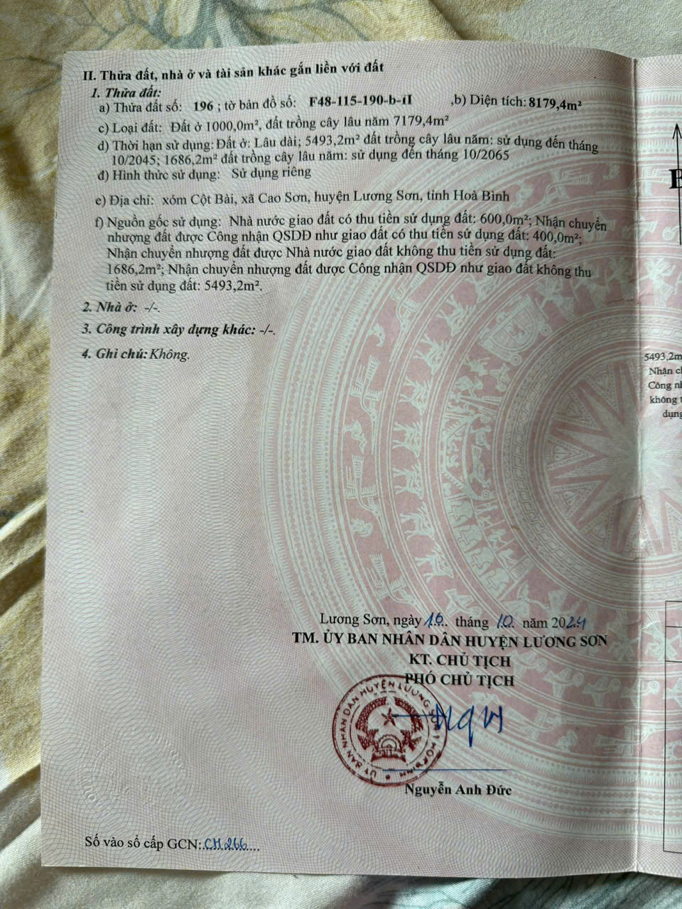 4357439763840952150 (1)