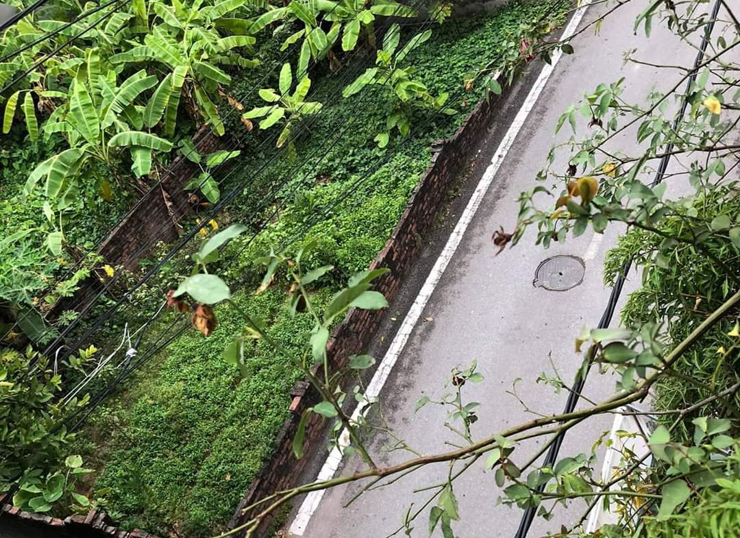 492d69f6901976472f08