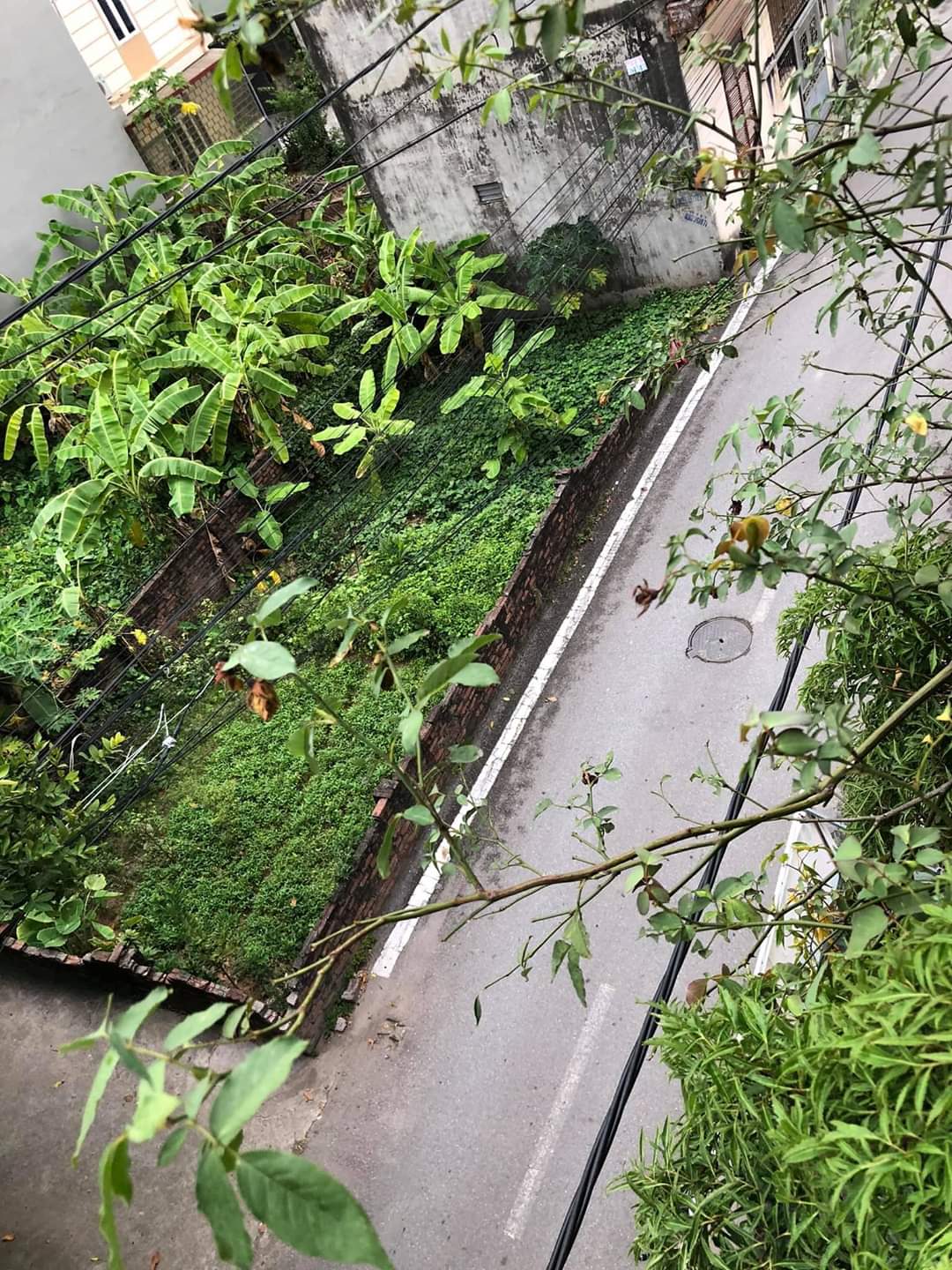 492d69f6901976472f08