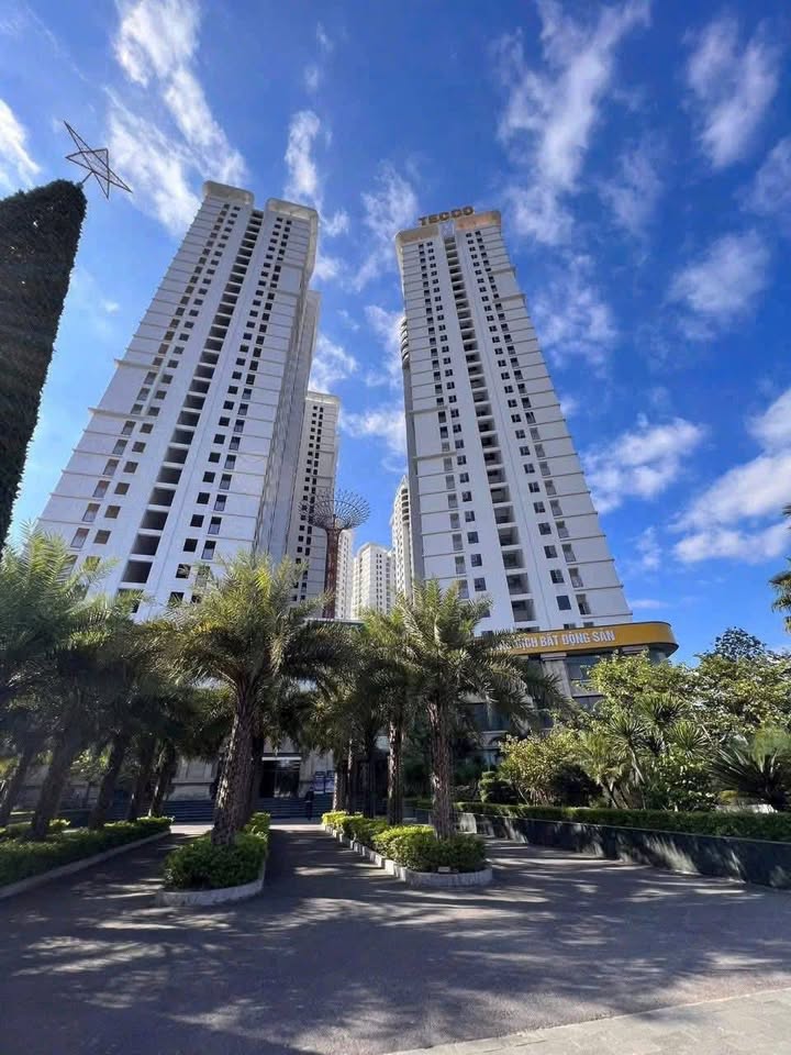 514414859_1375519970221185_5915179687912887194_n