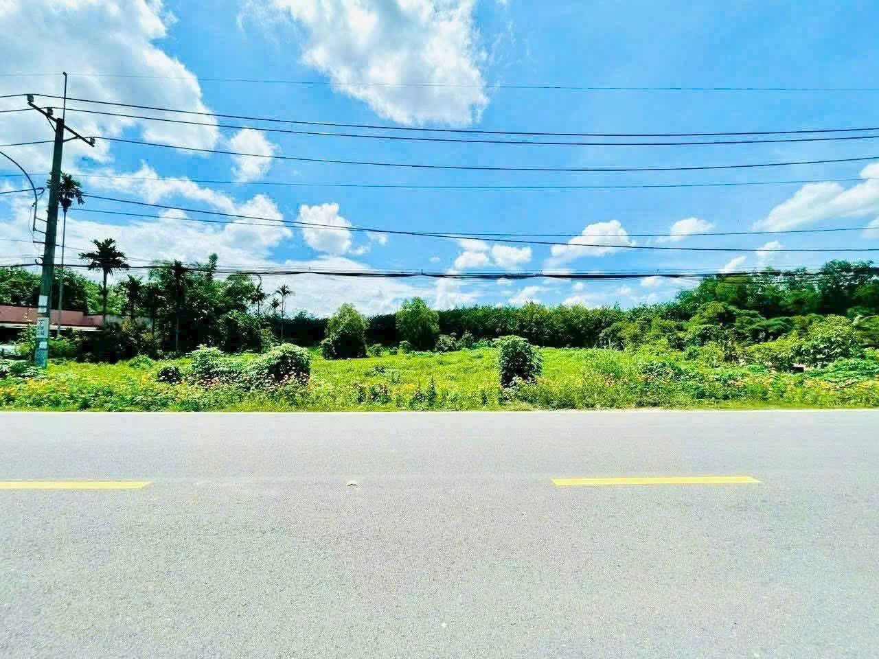 535435890_1489675035499205_3466497129476704454_n