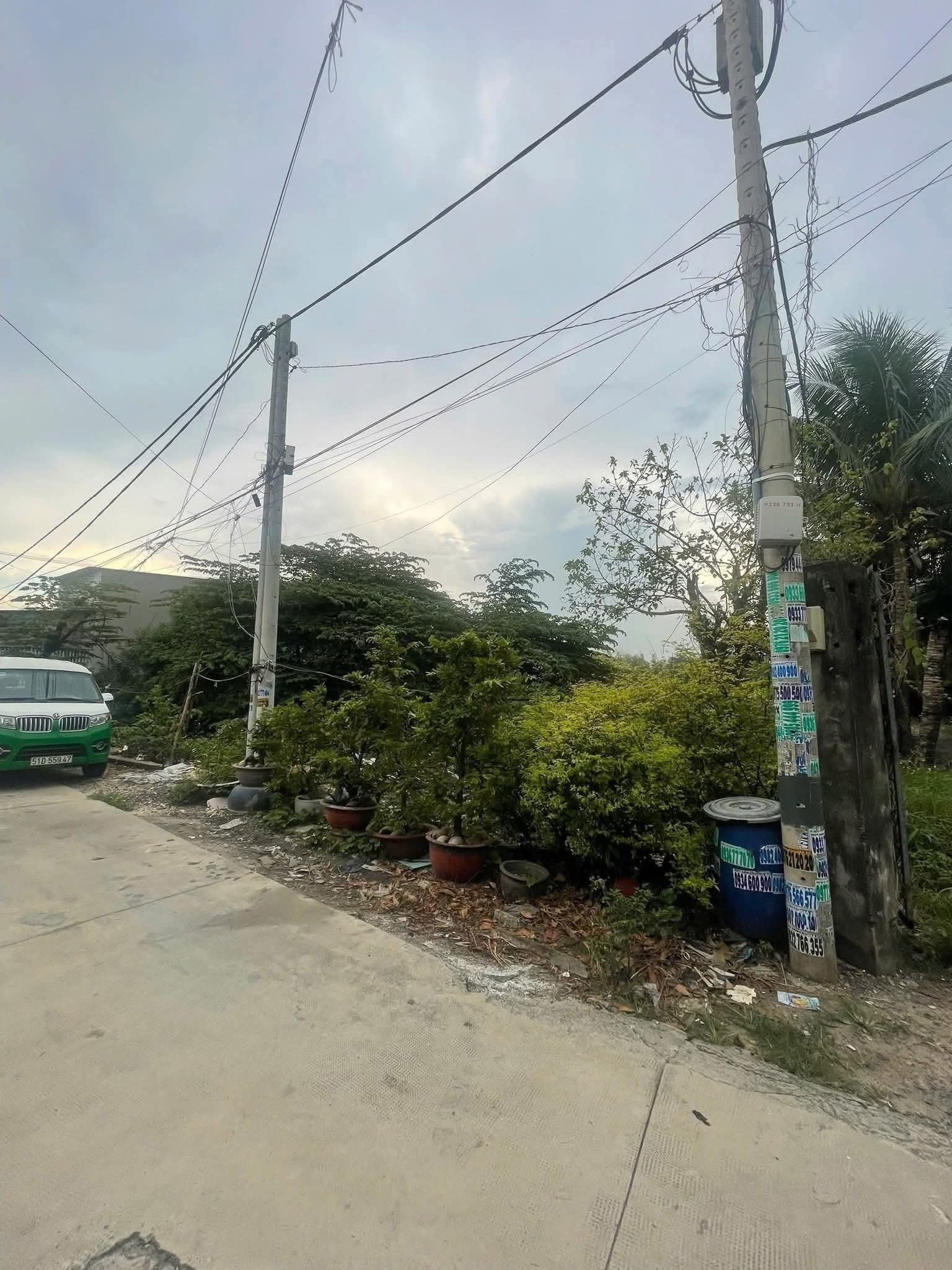 564091794_1536832724116769_6455021775200450401_n