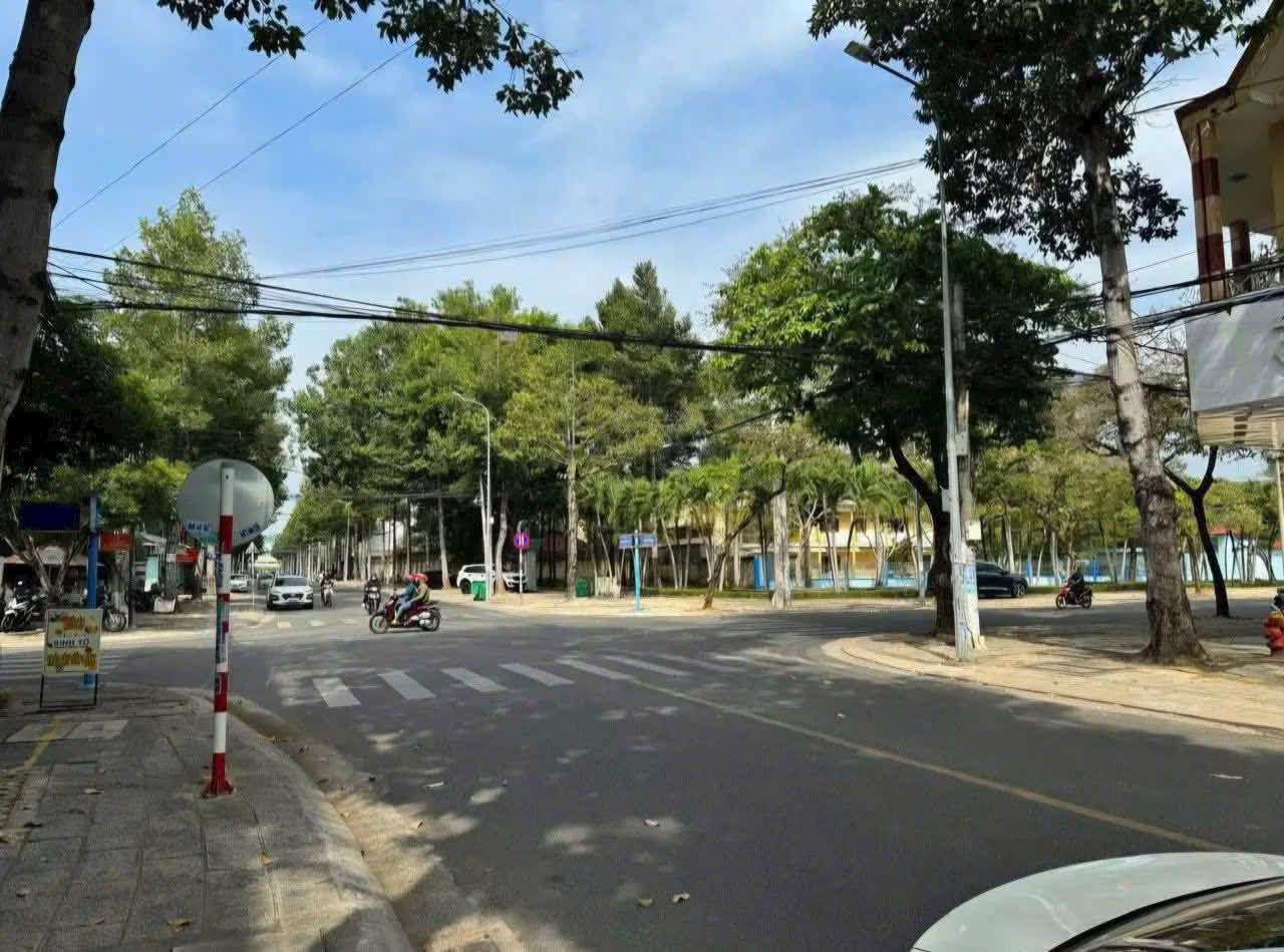 577027207_4329770733975059_6569036382863966273_n