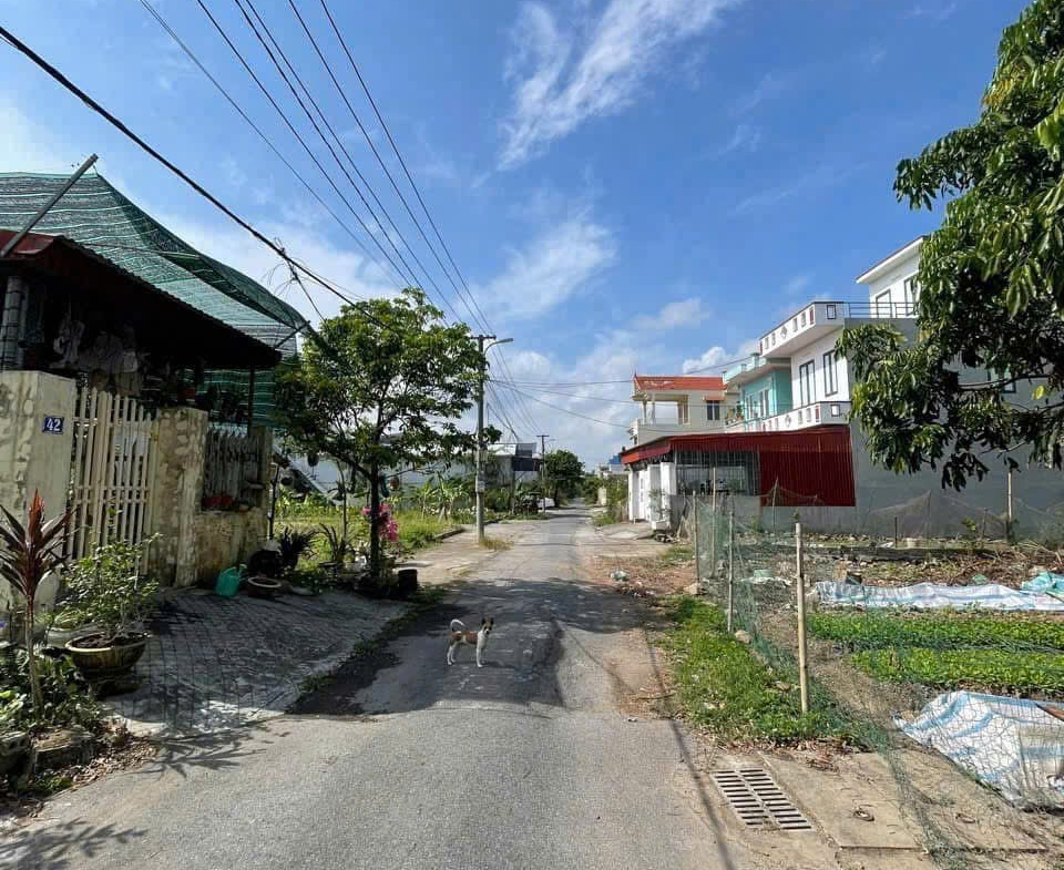 588e9cde729efec0a78f30