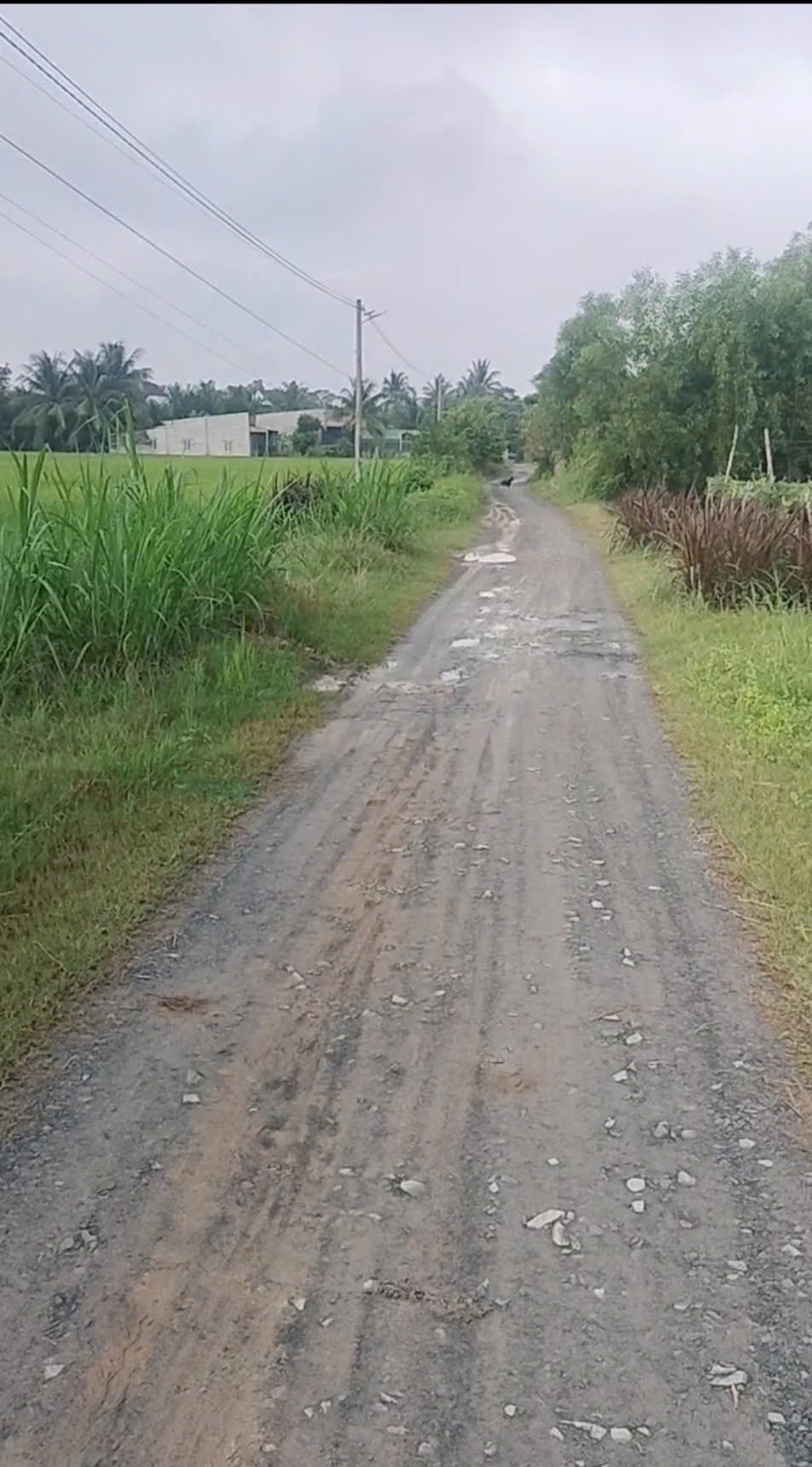 695cf92e-8d46-4404-801d-e41e604d5126