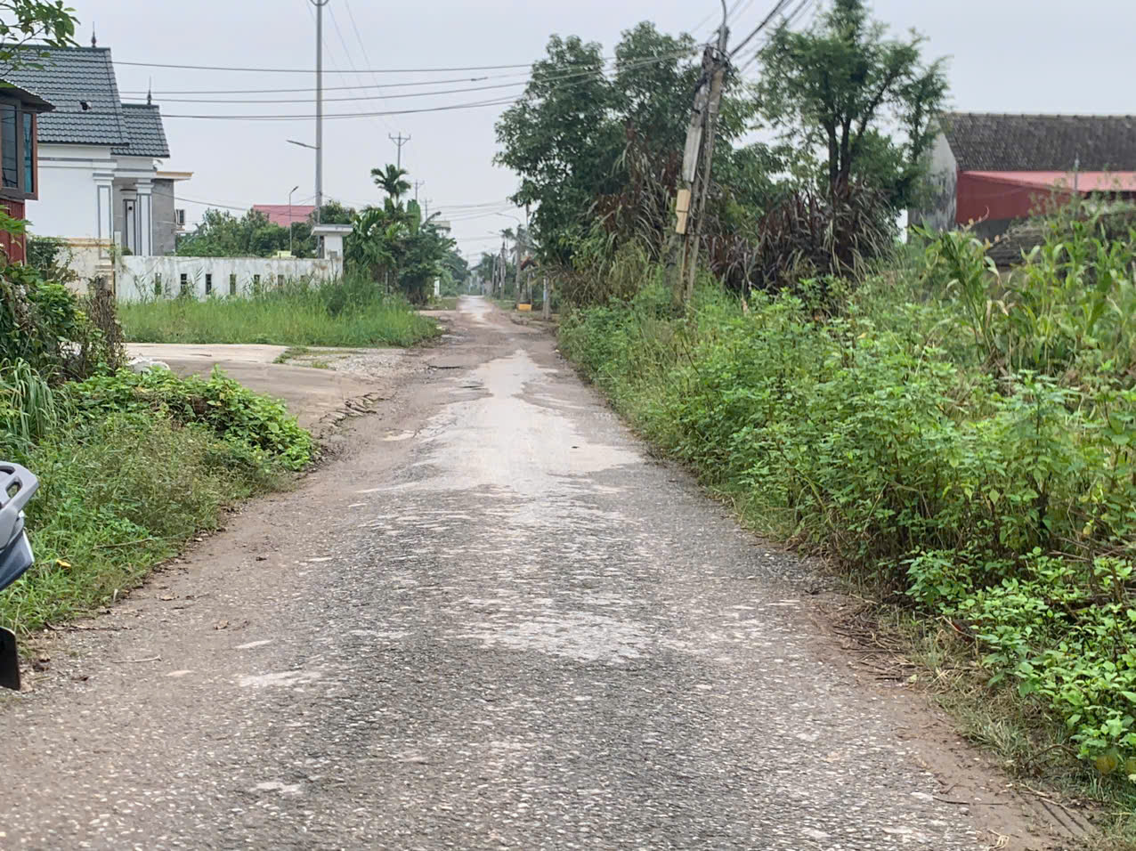 79223832816822616917