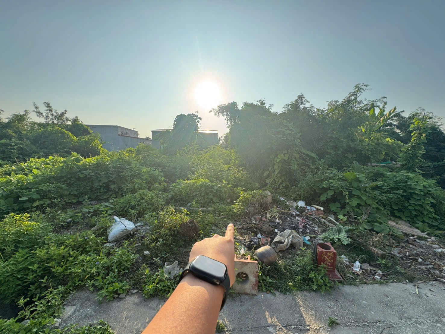 83e5d7c0098385dddc9232