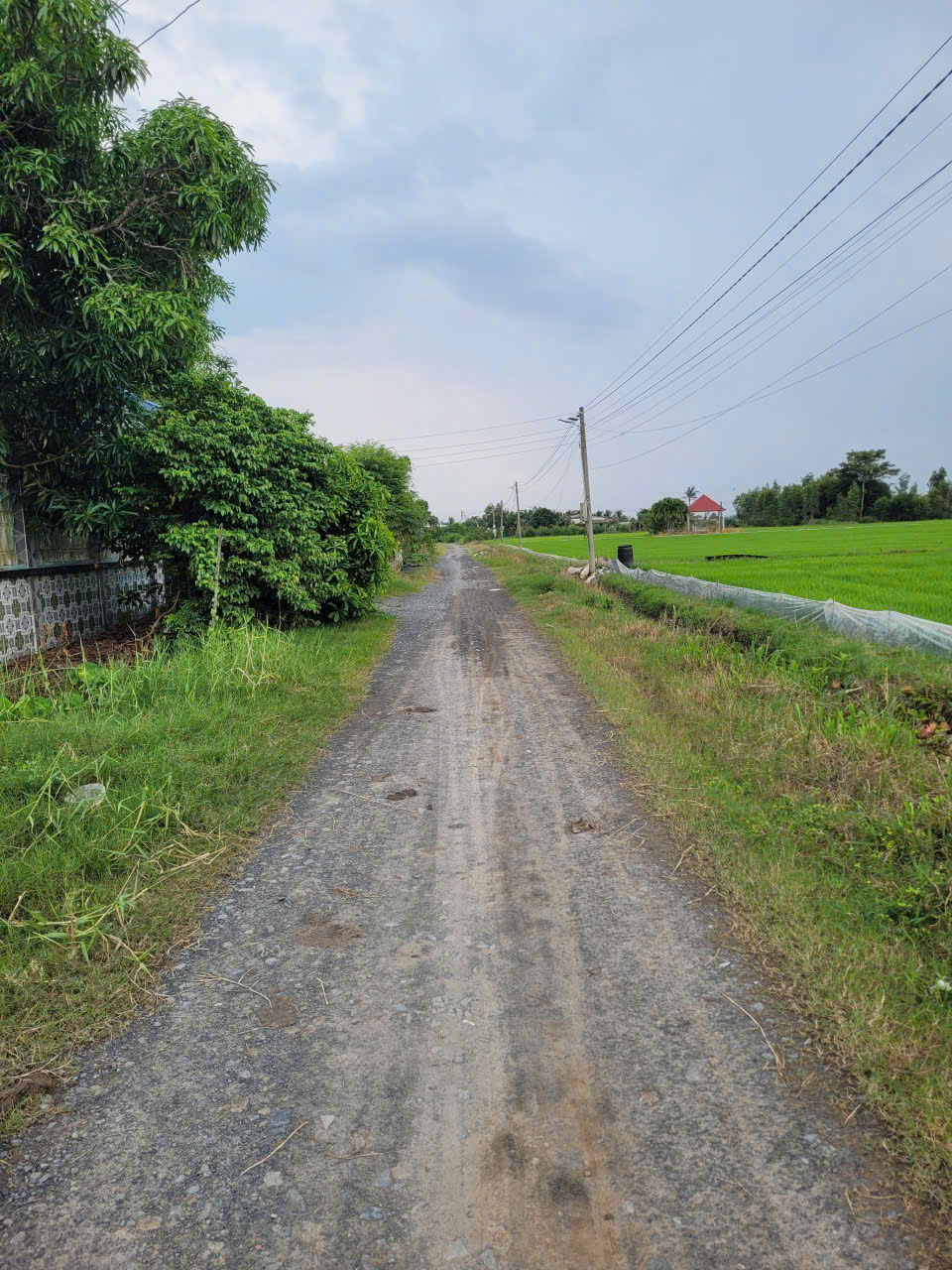 89084d87-58ad-49d3-ac56-02e109252062