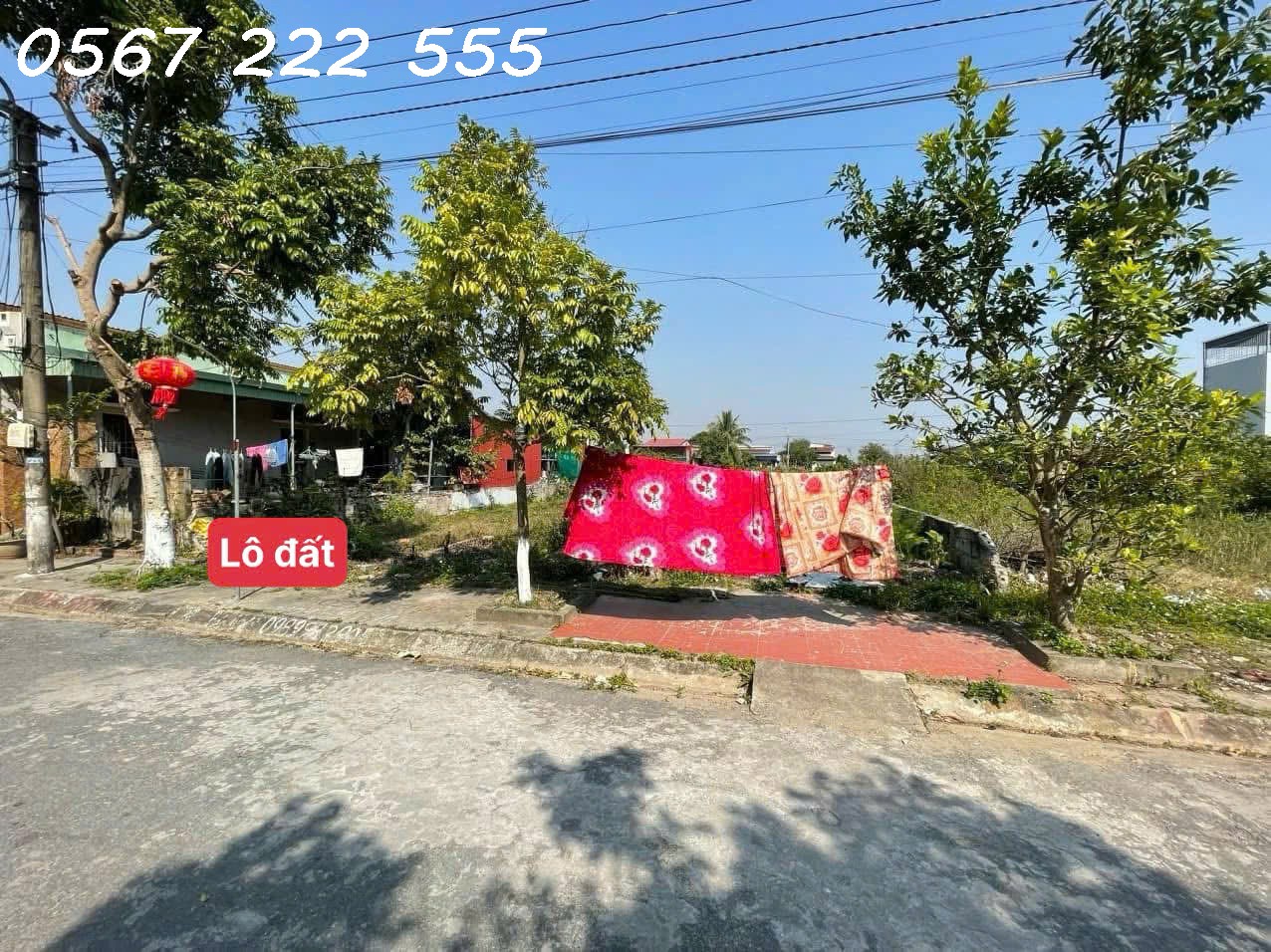 89ce11345333df6d86224