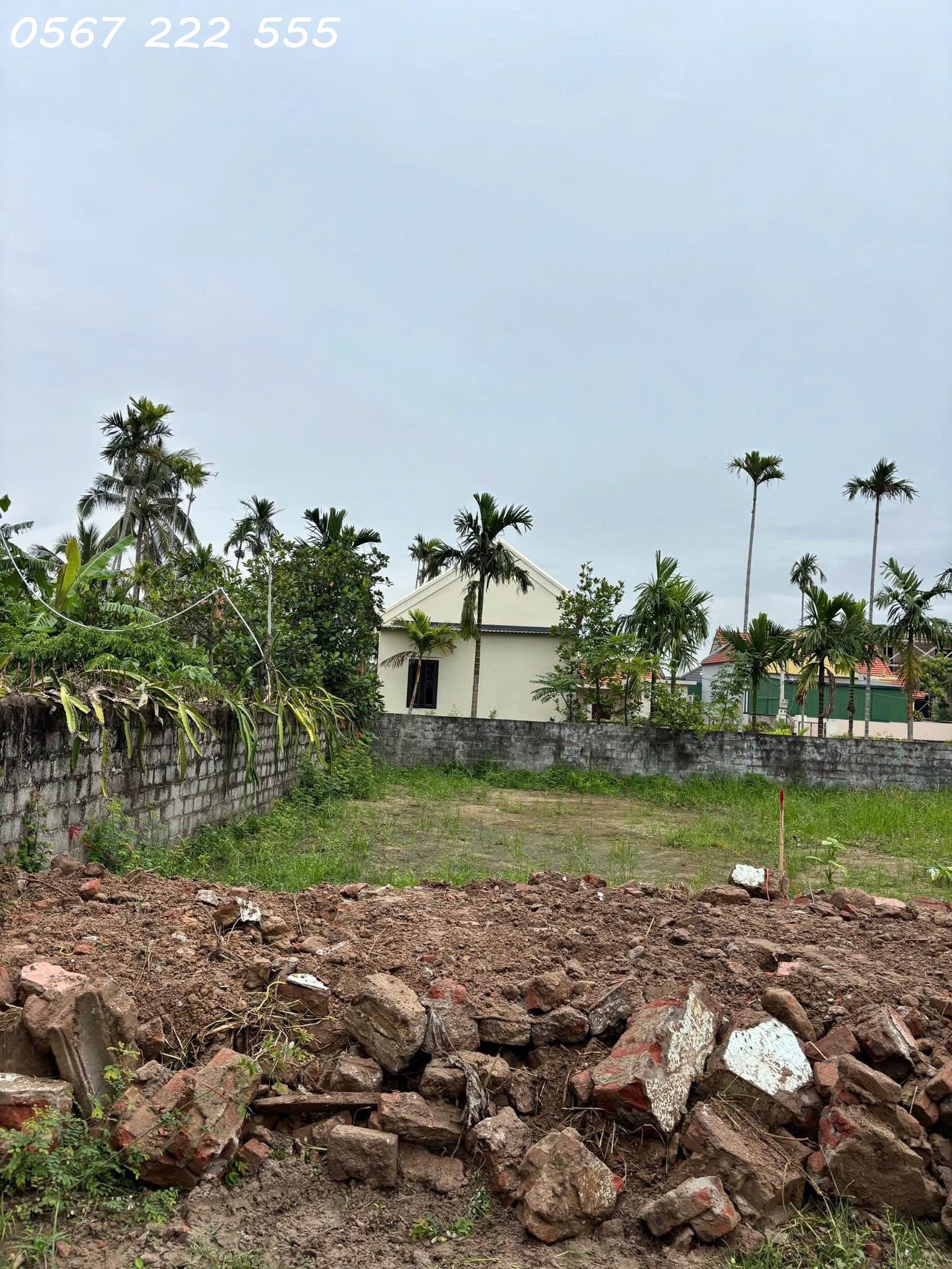 a00fc1e5eee362bd3bf231