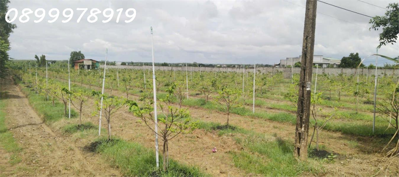 a279d846-3e8a-429b-8481-ce830f8a459c