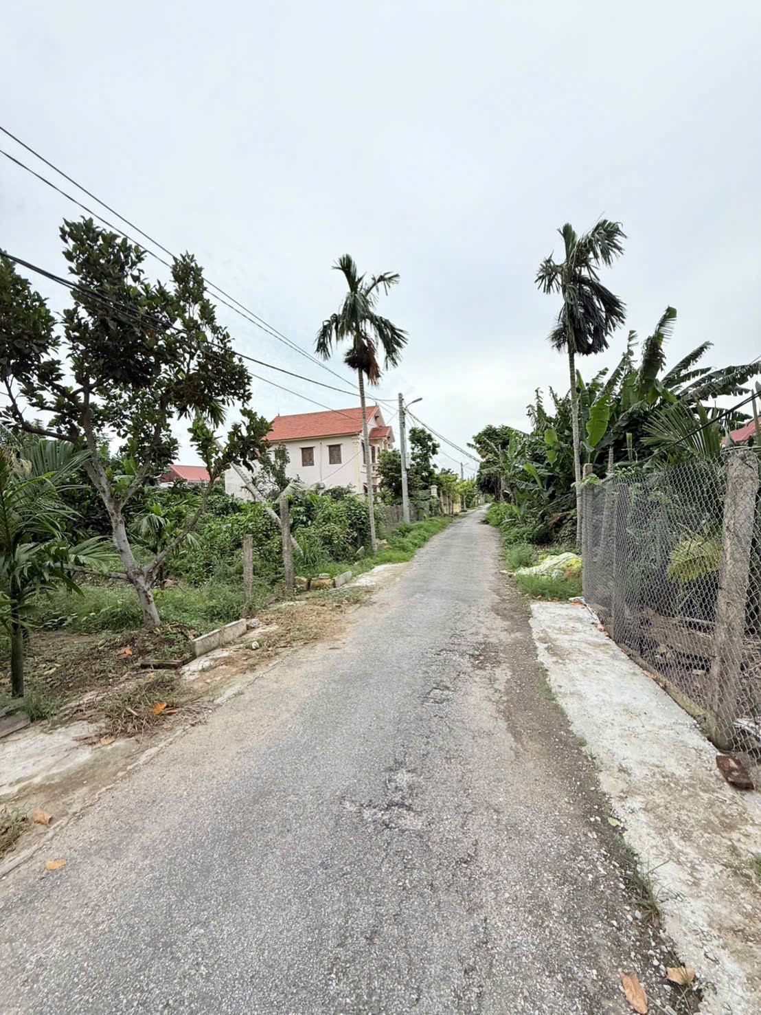 aa919782f0d27c8c25c320