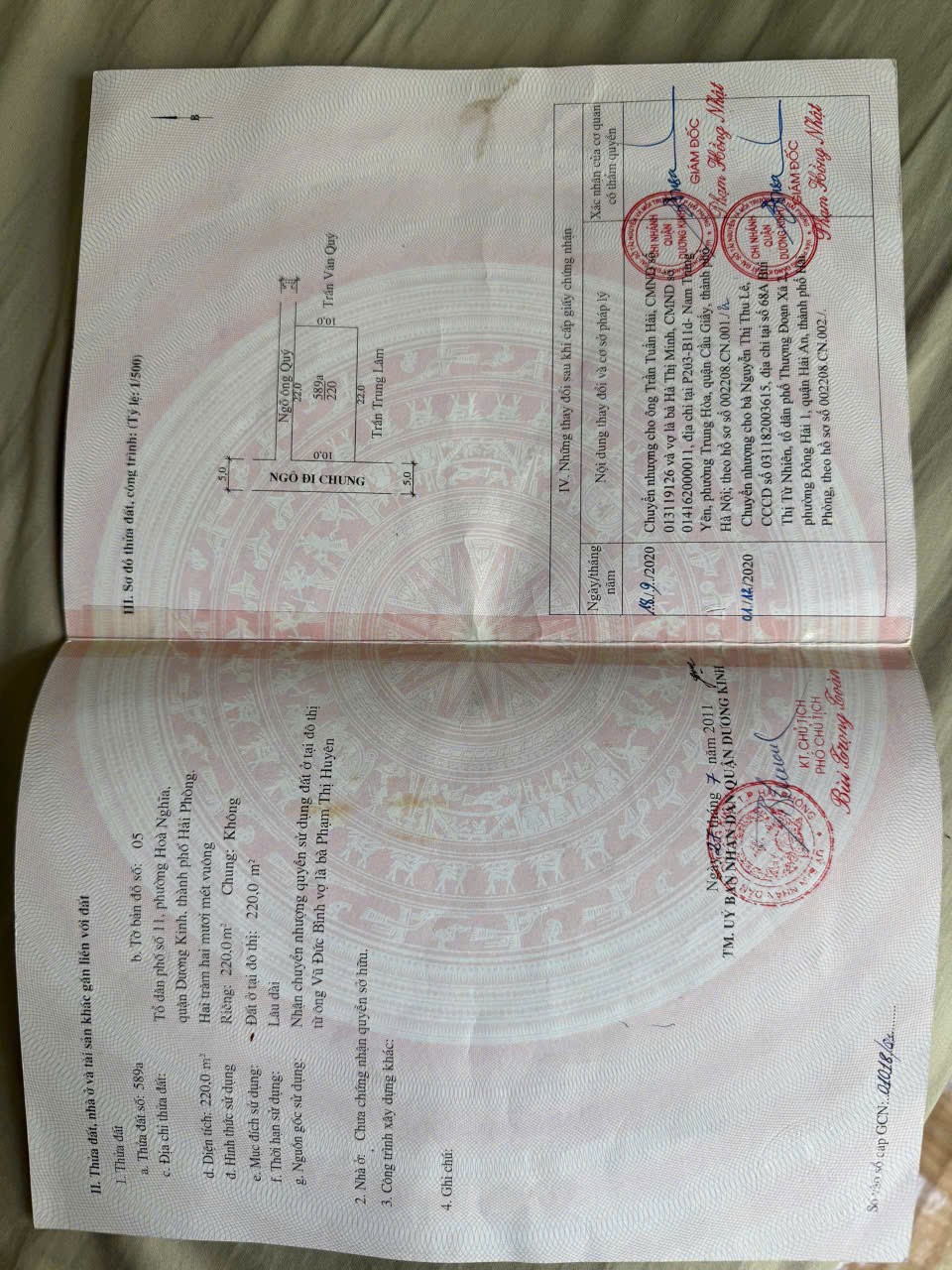 b7e92dfaa1d42d8a74c582