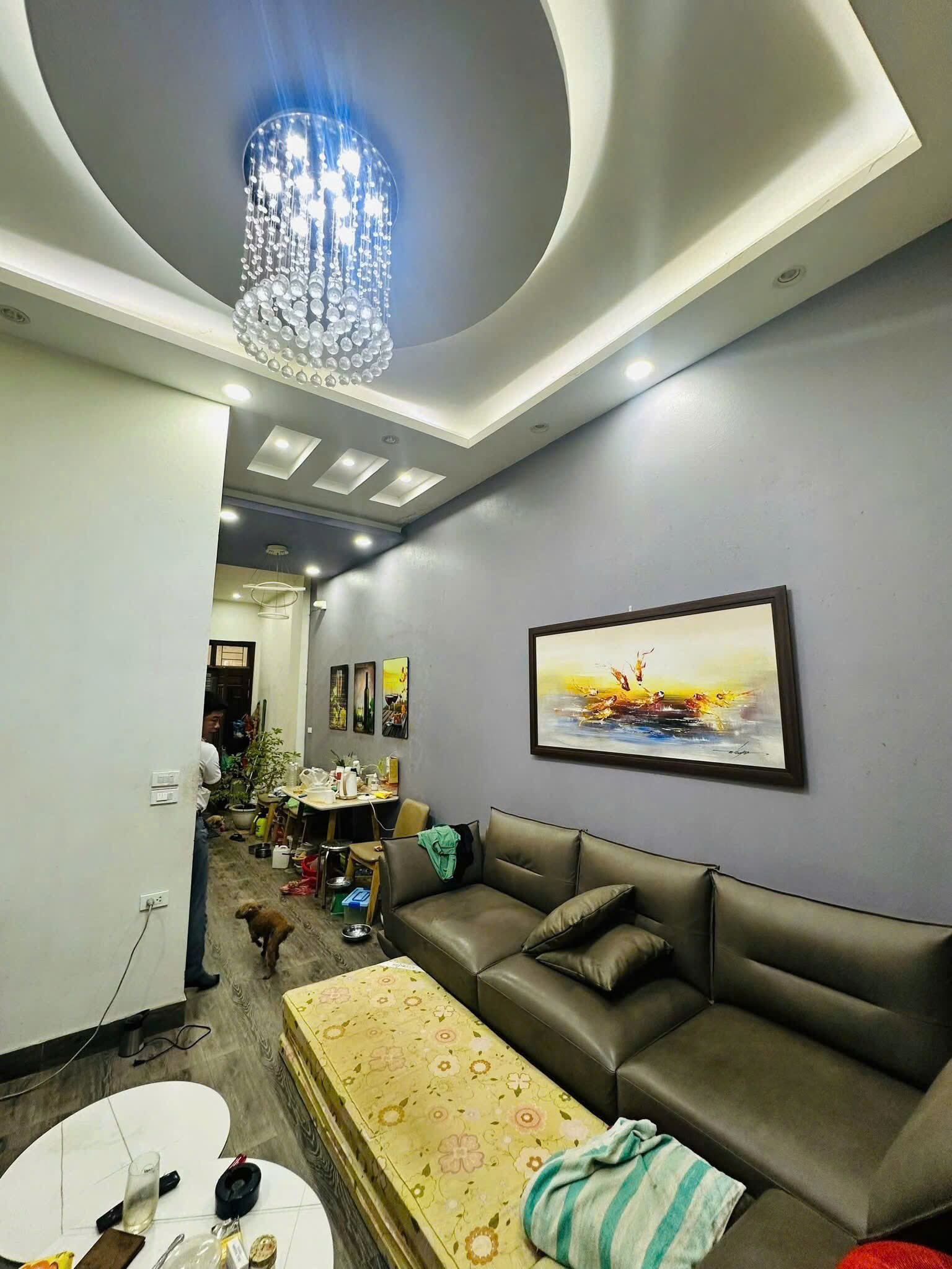 ban_nha_Nguyen_duc_canh (1)