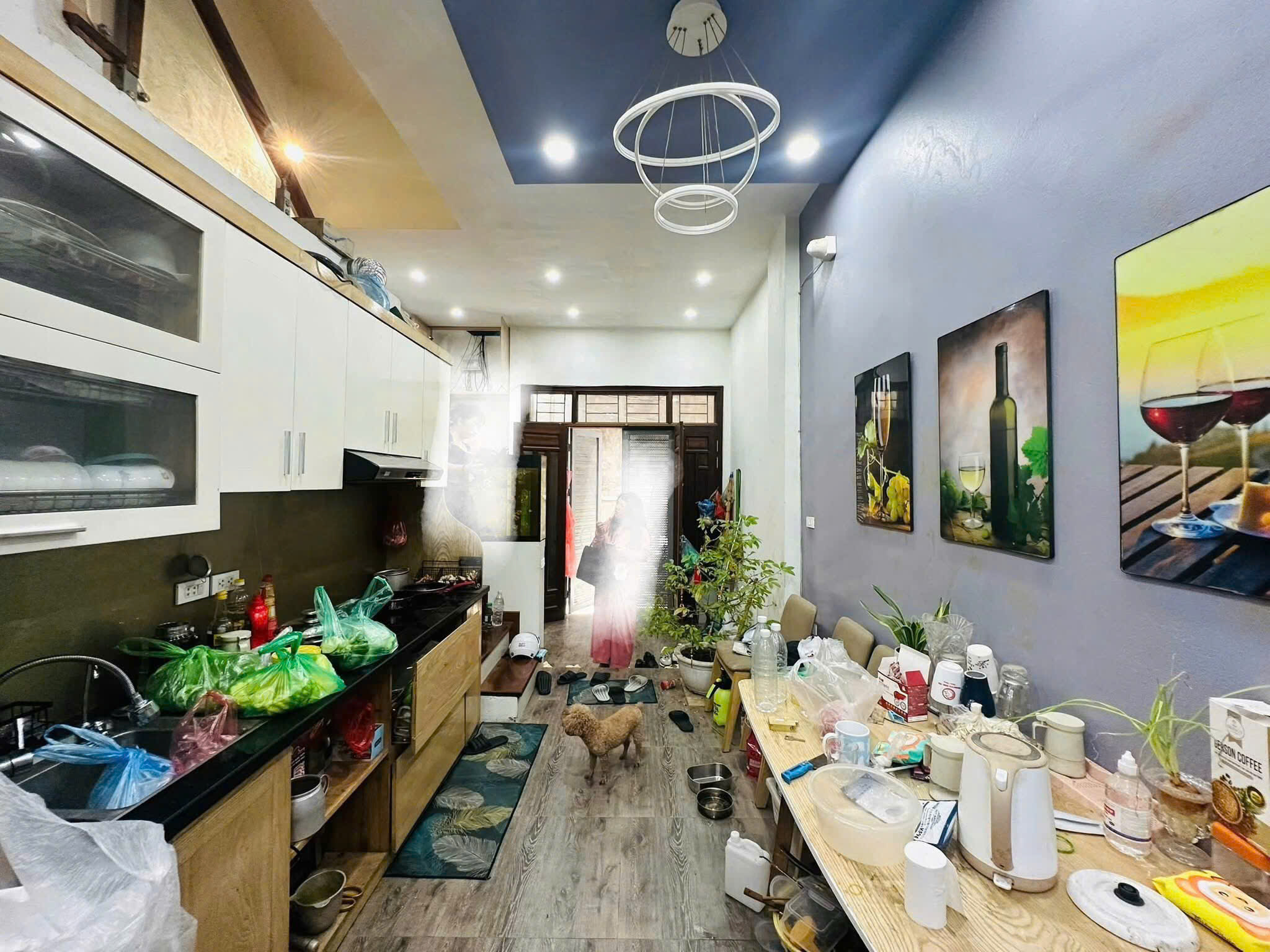 ban_nha_Nguyen_duc_canh (7)