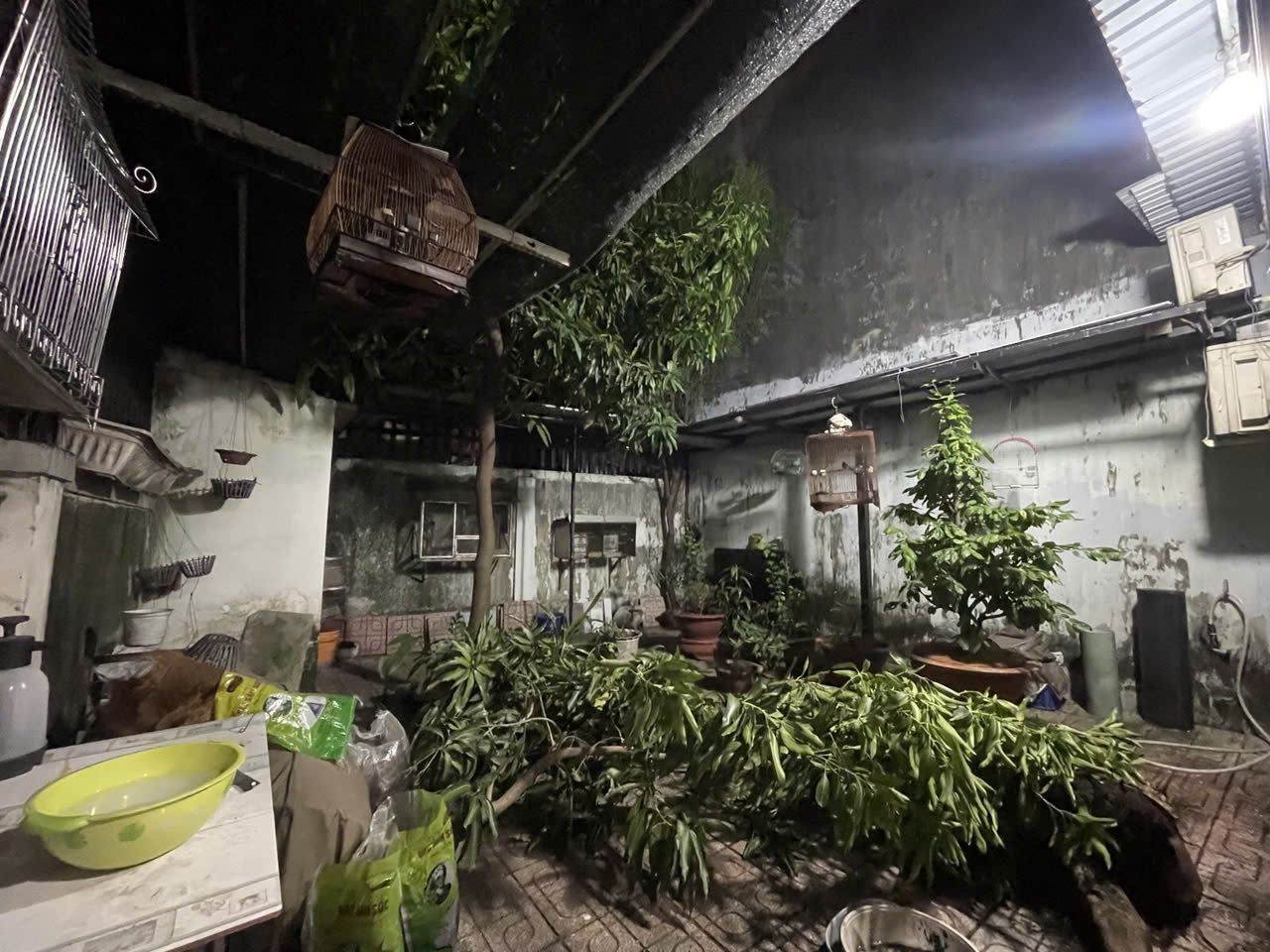 gen-h-z7183377640824_0428f2e164865a79515cfcf81faf2656