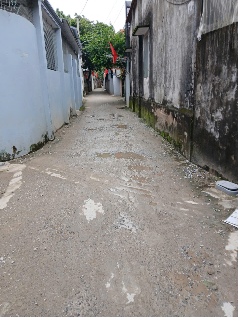 gen-h-z7196243808431_a21de385ddbcf835a31b7ae8254d704a