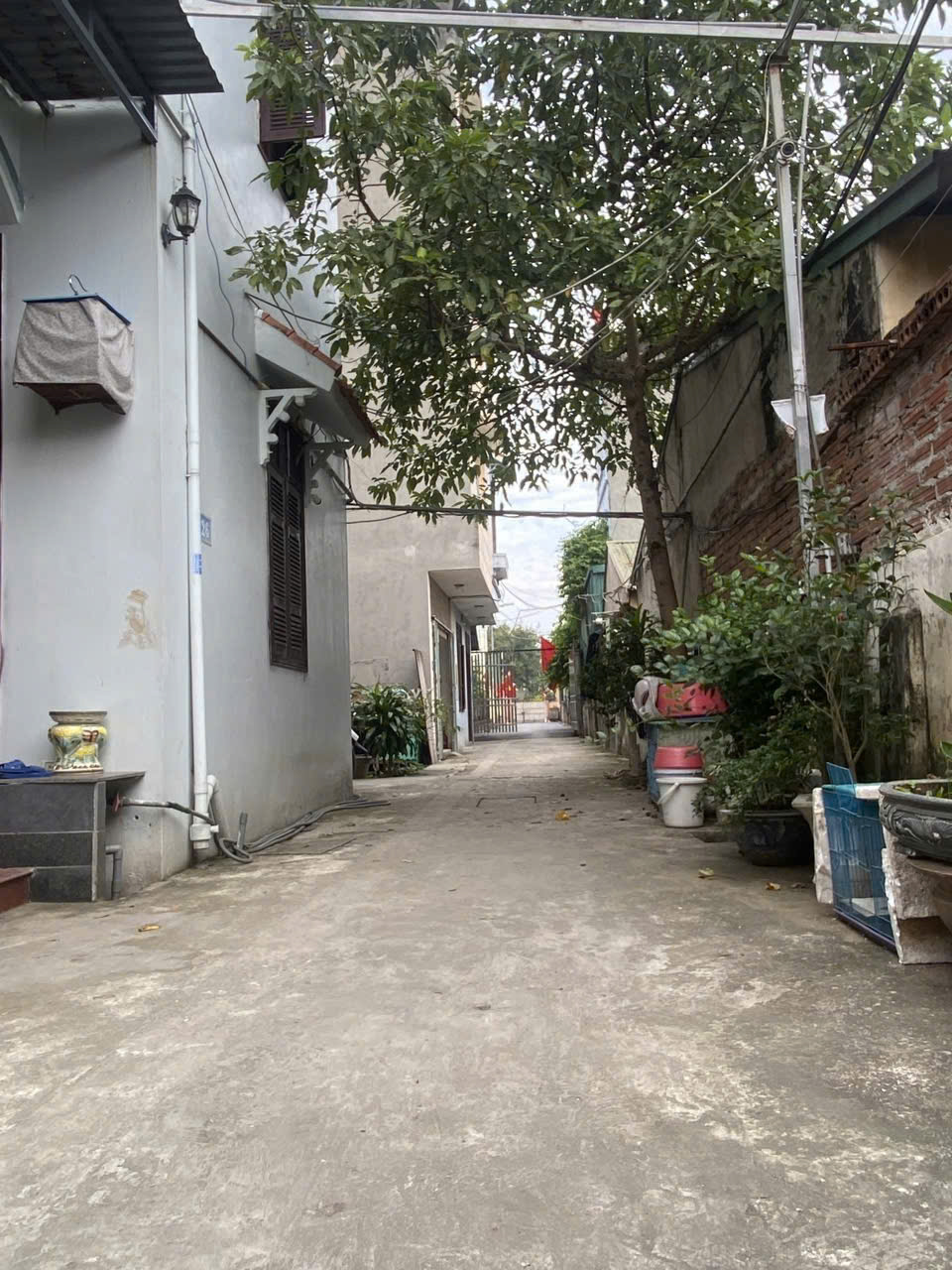 gen-h-z7266725351492_d3684825ca2049c1ab4ae39cd8807bf8