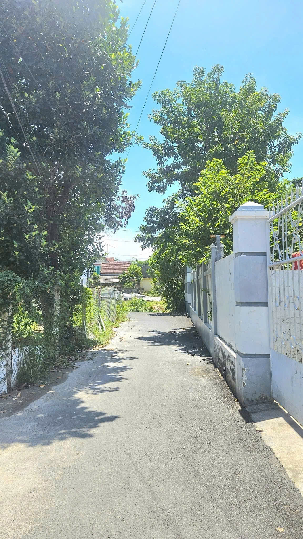 z1761905049912_067_0369093c4c7bac5b3640be060303eb76