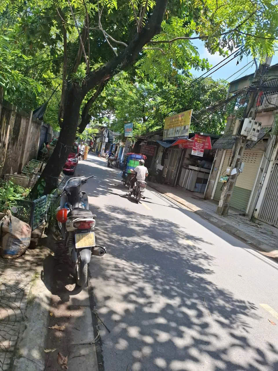 z5771782539849_0c999964a824dc1189cf4148cb89d7f9