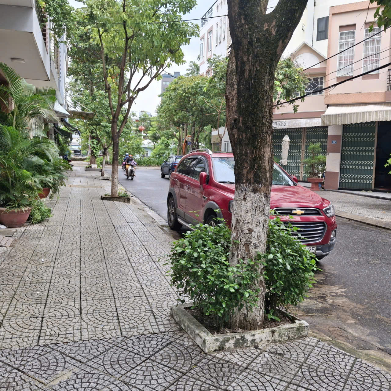 z5969126580458_8538a207c4cf05299ac0ba33d4295ca4