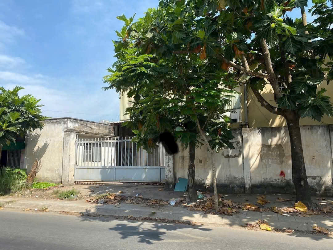 z6111944508250_5acd3885740810c296fbea52b6cee552