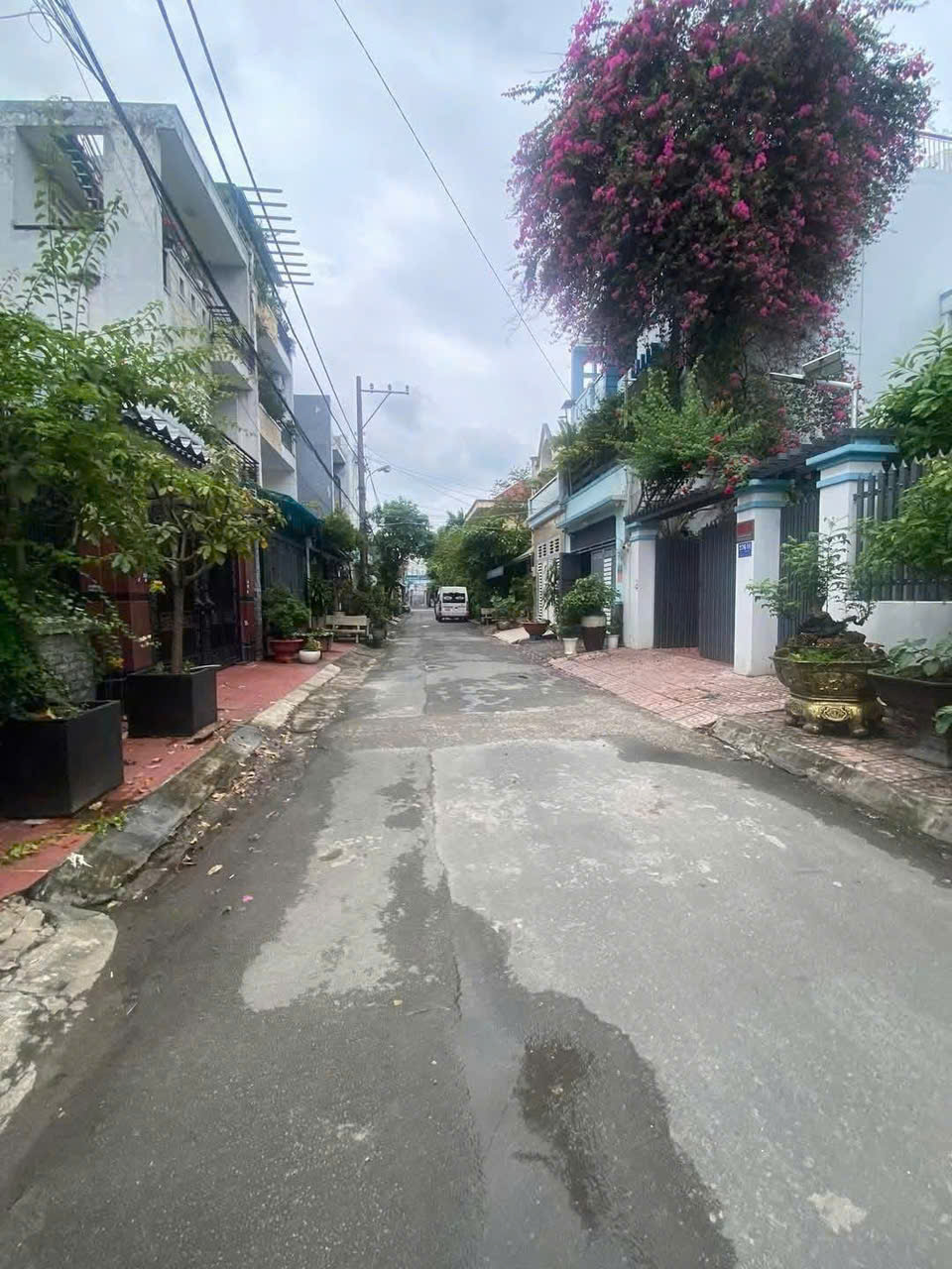 z6155588870307_21a79050255643eb03cbfbbd9cb8f14f