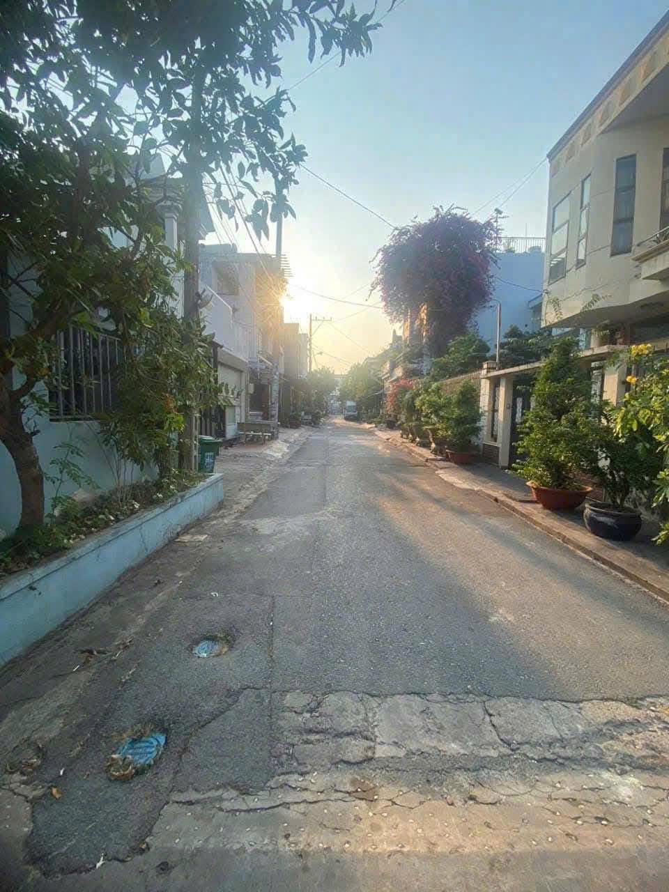 z6155588872726_50b8e4aa3796baf83fd7725e1f6de1df