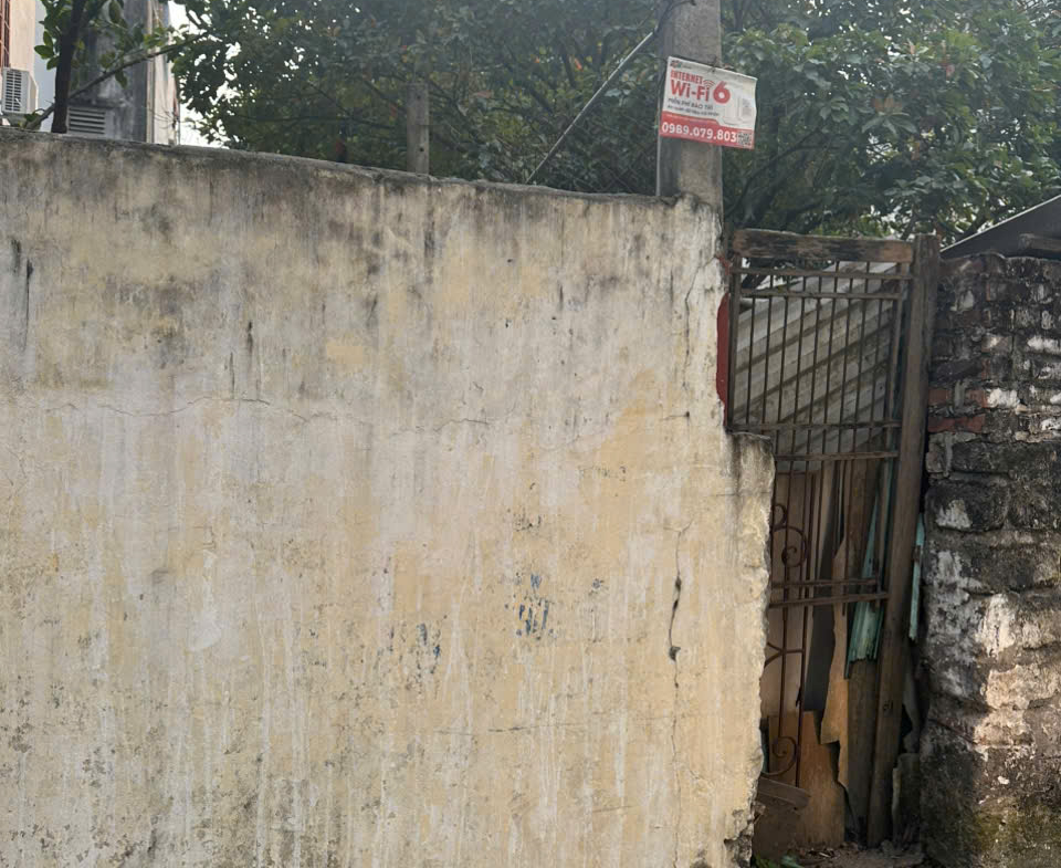 z6162493848768_bf11e63376c3a22c4e922e4586953a88