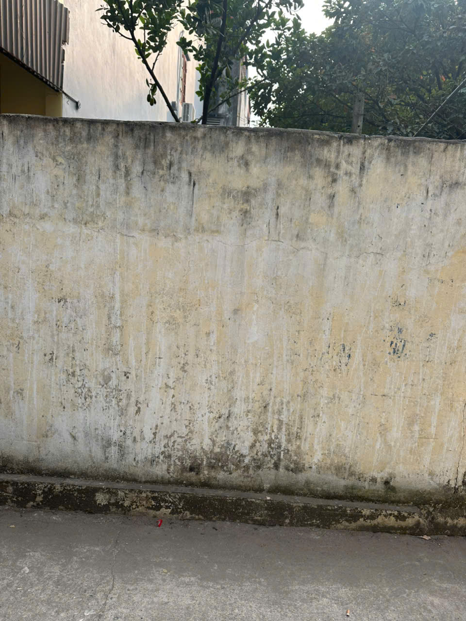 z6162493864891_9f7f4fe3050517865f854f58a418c0d4