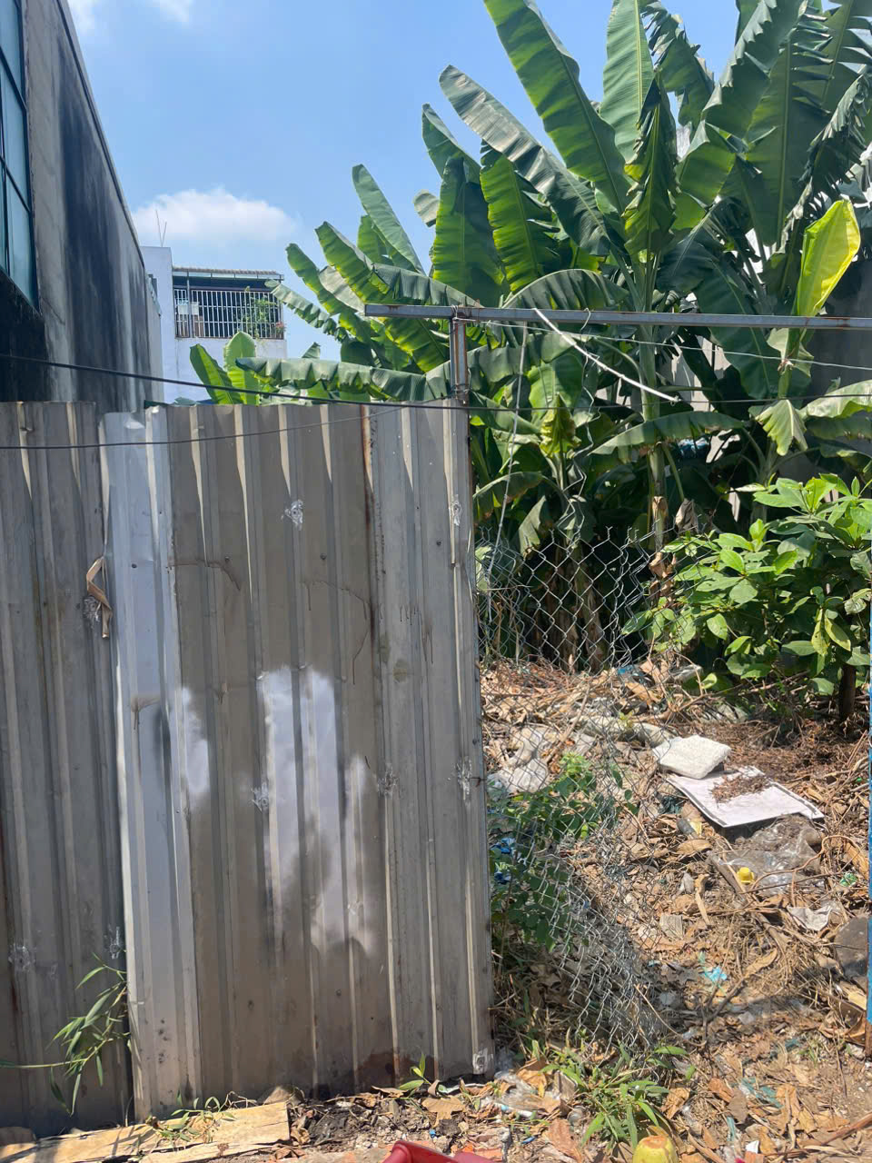 z6363508207847_43792afe94f0f66151c8fb7a2d300ef3