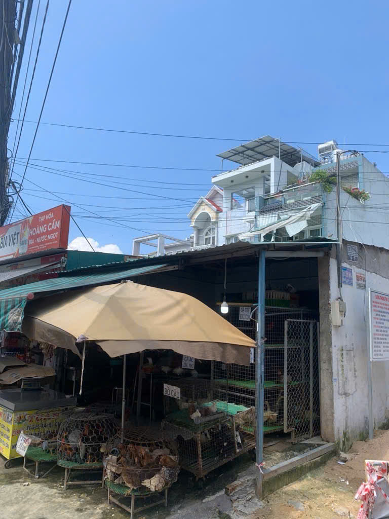 z6395097882046_a83e5fc659e7bc77333ed7464e442f8d