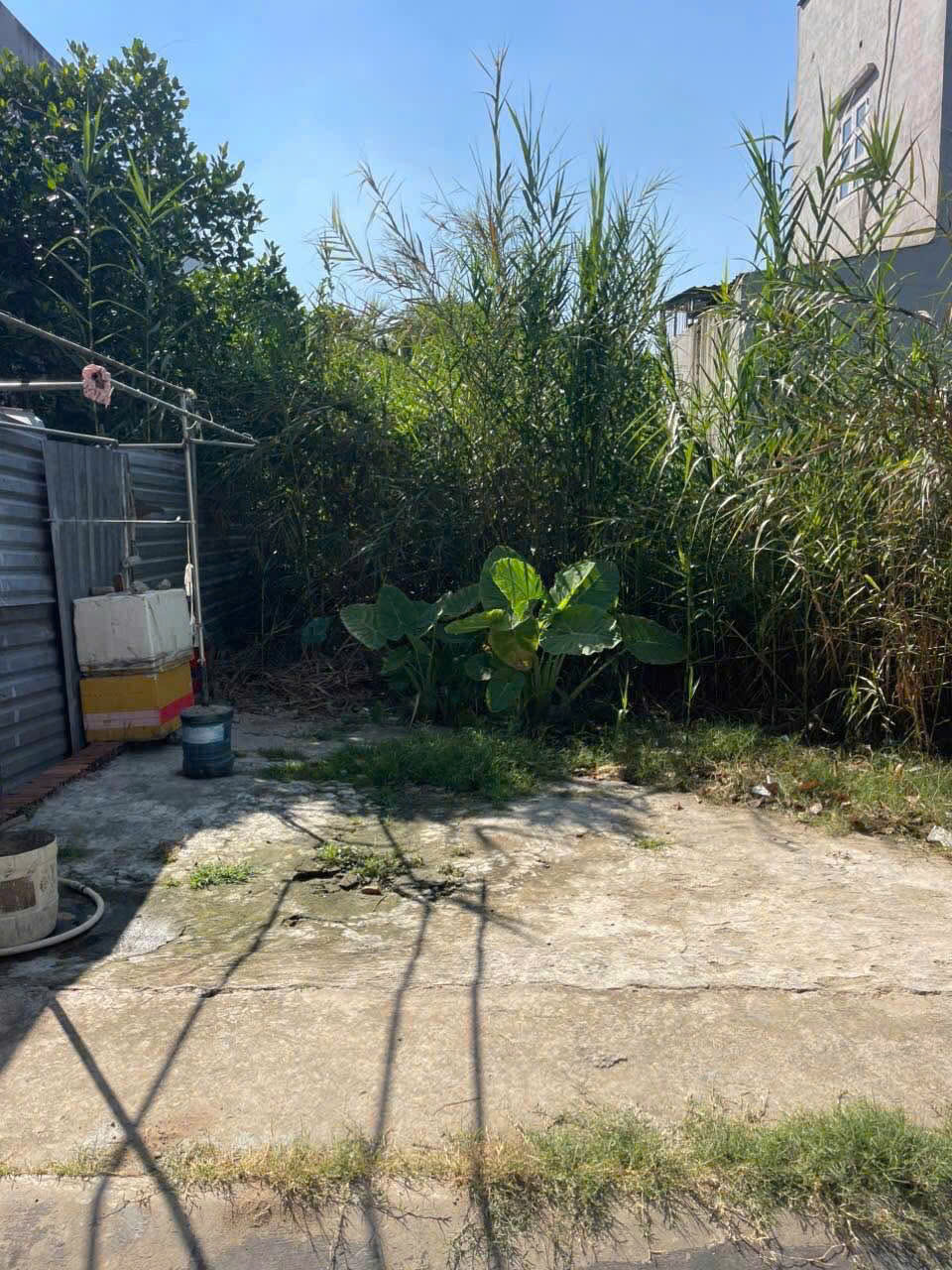 z6465970262366_4676dbee46664dc2dbe1edbbd52a4668