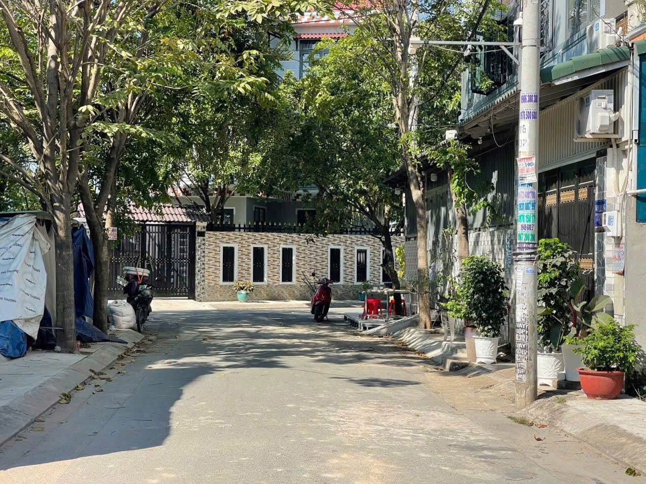 z6465970279962_ffc772e57626af6e0a76da530cc93570